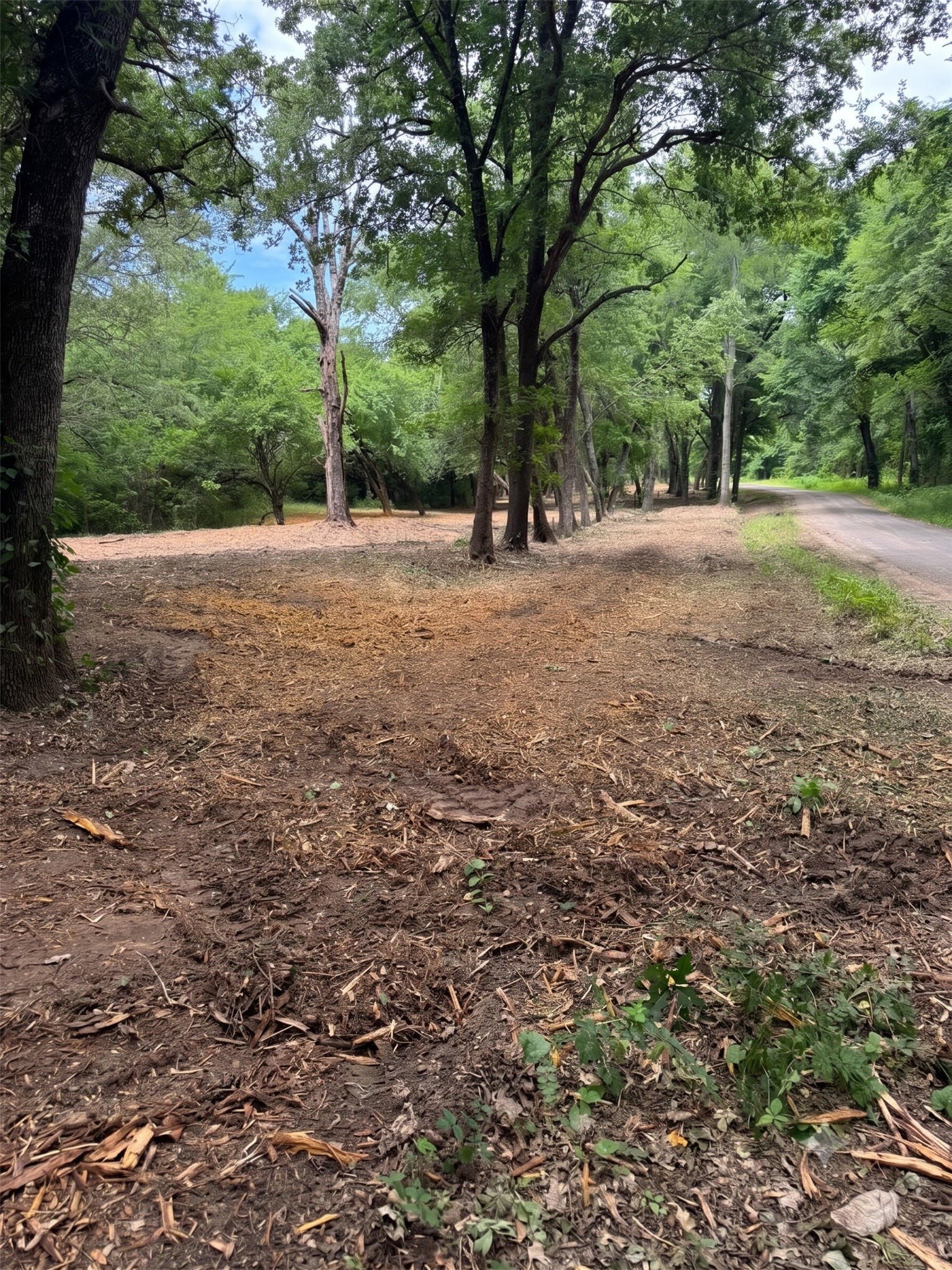 Lot 4 County Road 3562