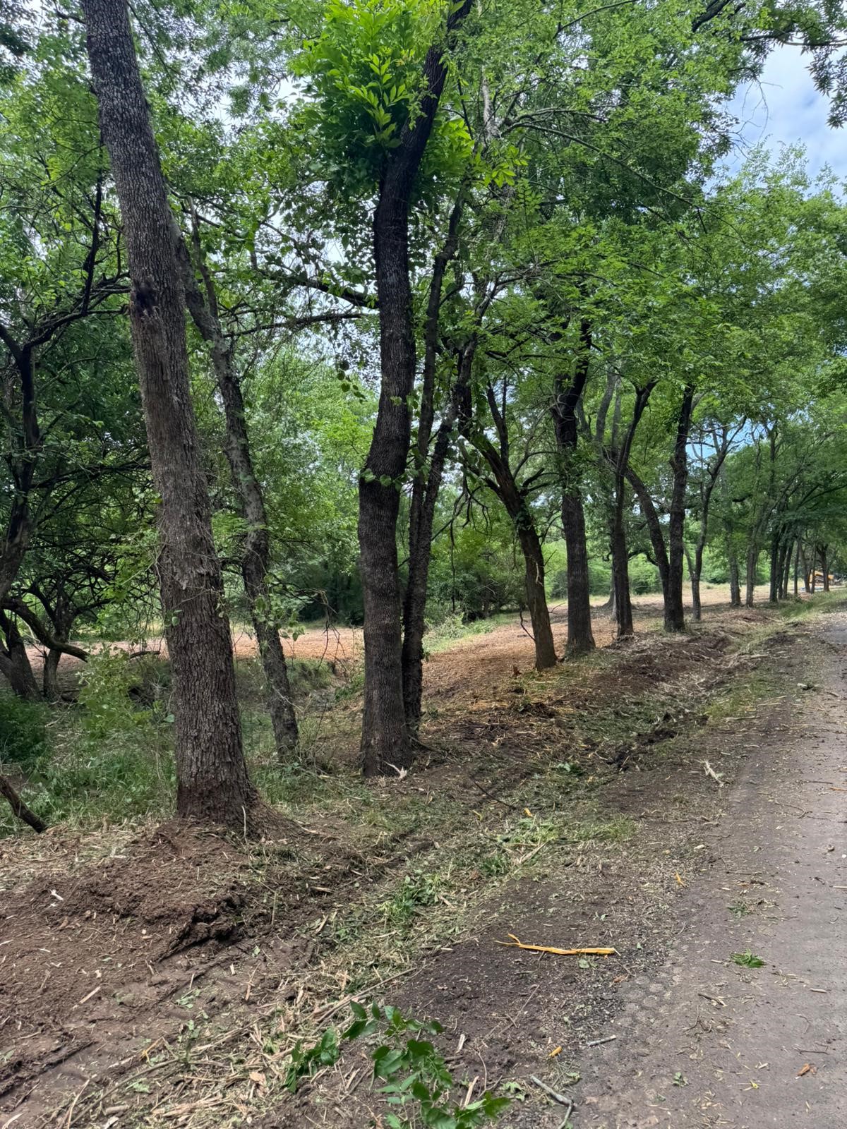 Lot 4 County Road 3562