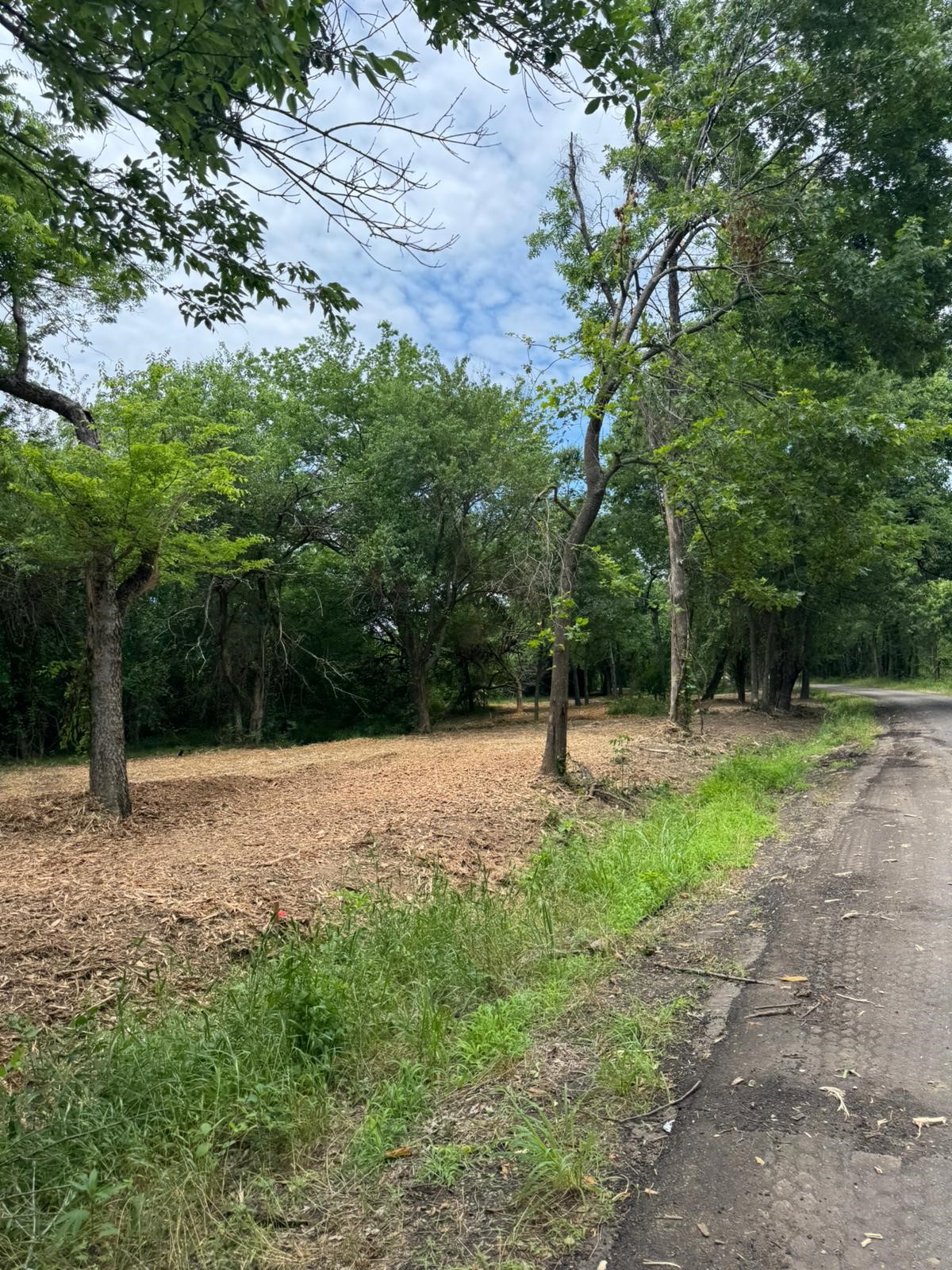 Lot 4 County Road 3562