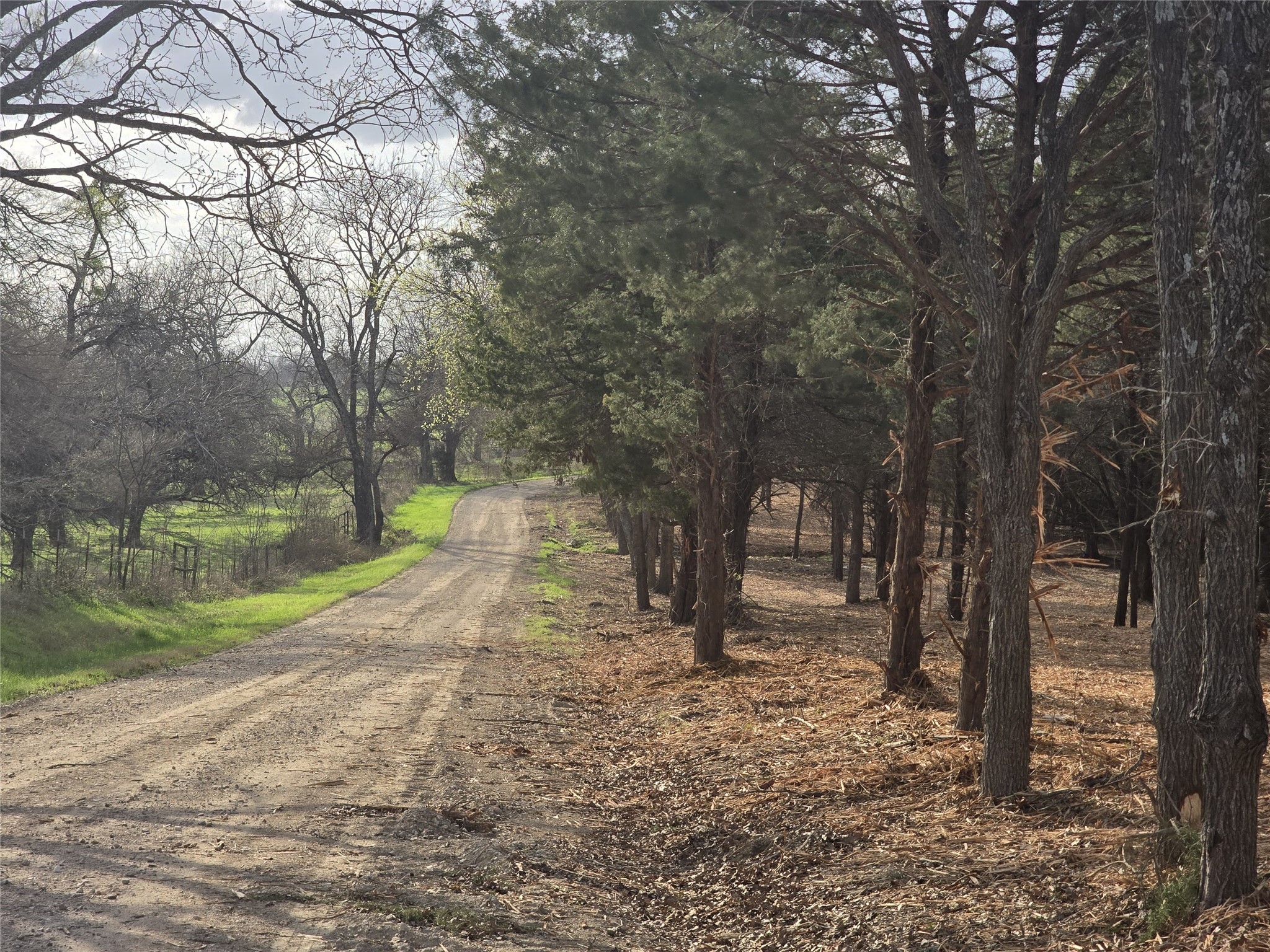 Lot 3 County Road 4581