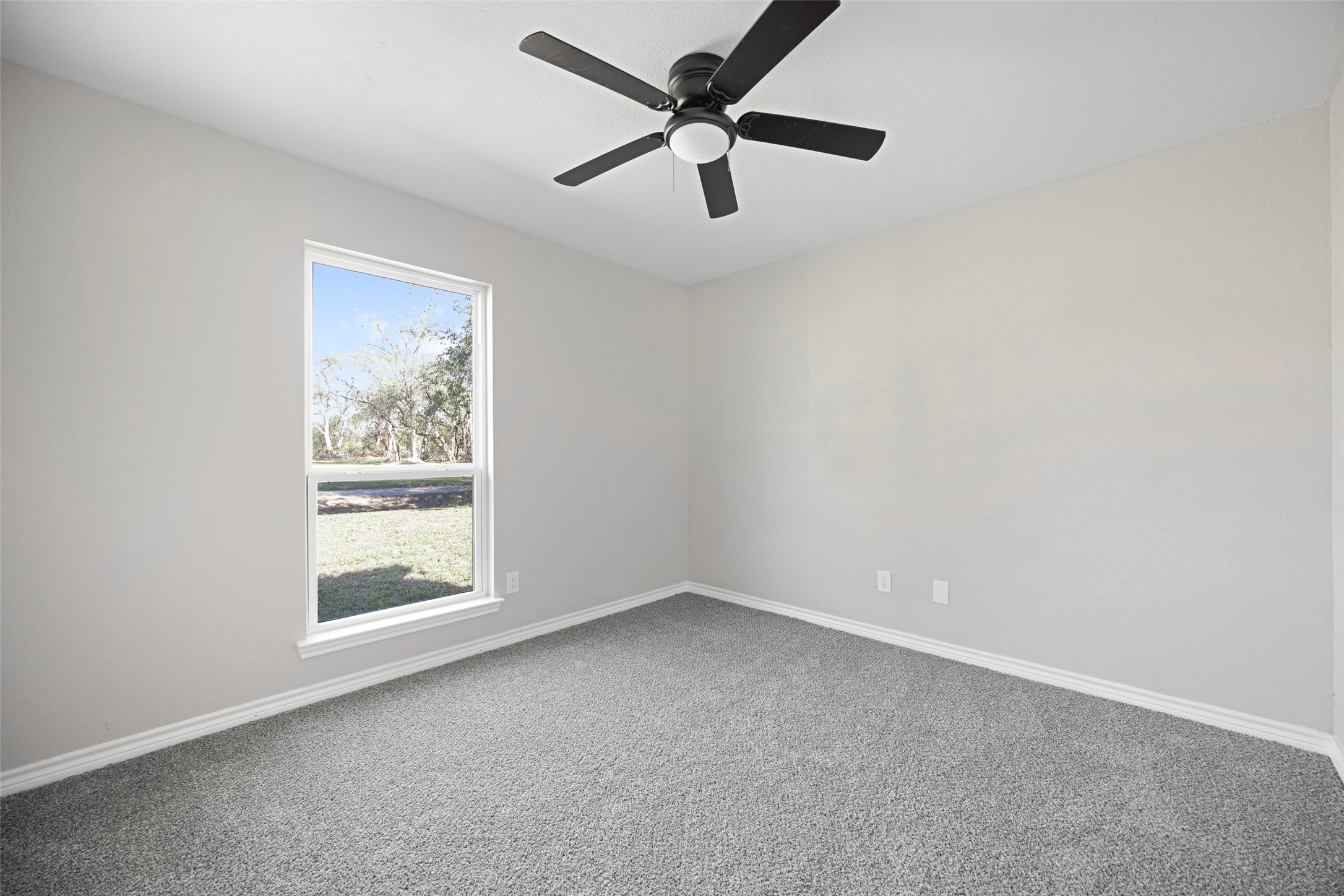 2538 County Road 3127