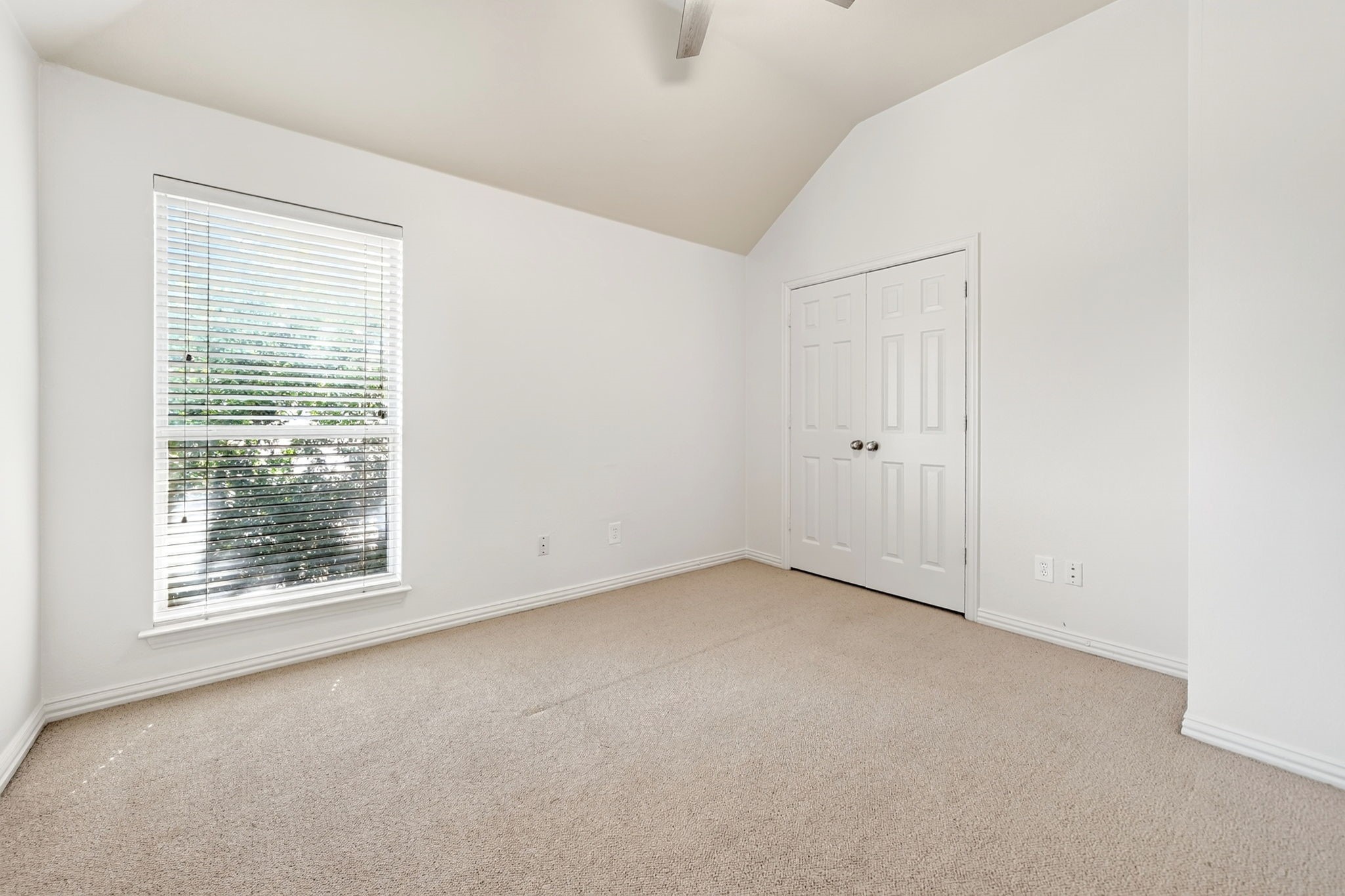 2917 Cedar Pass Court