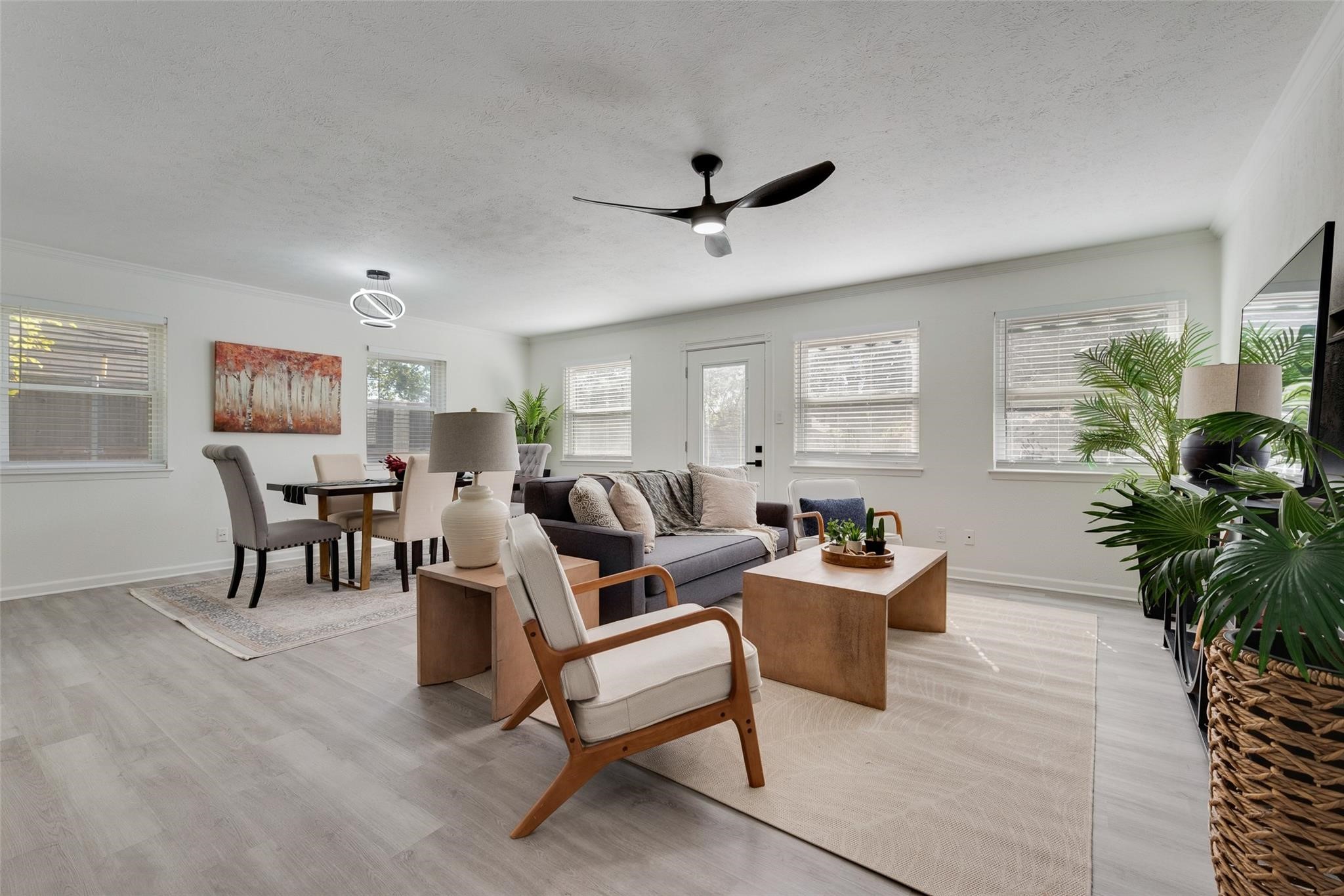 713 Kindred Lane