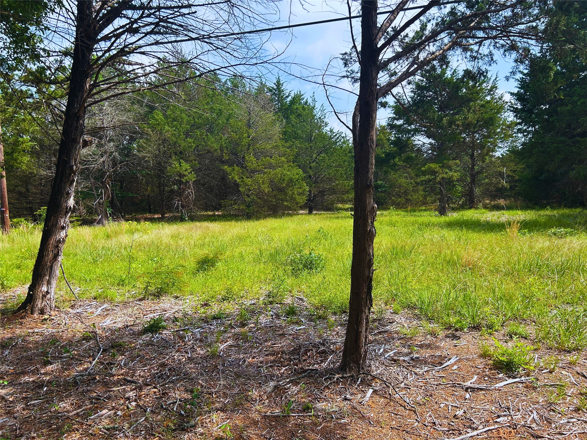 Lot 1 North Shore Road