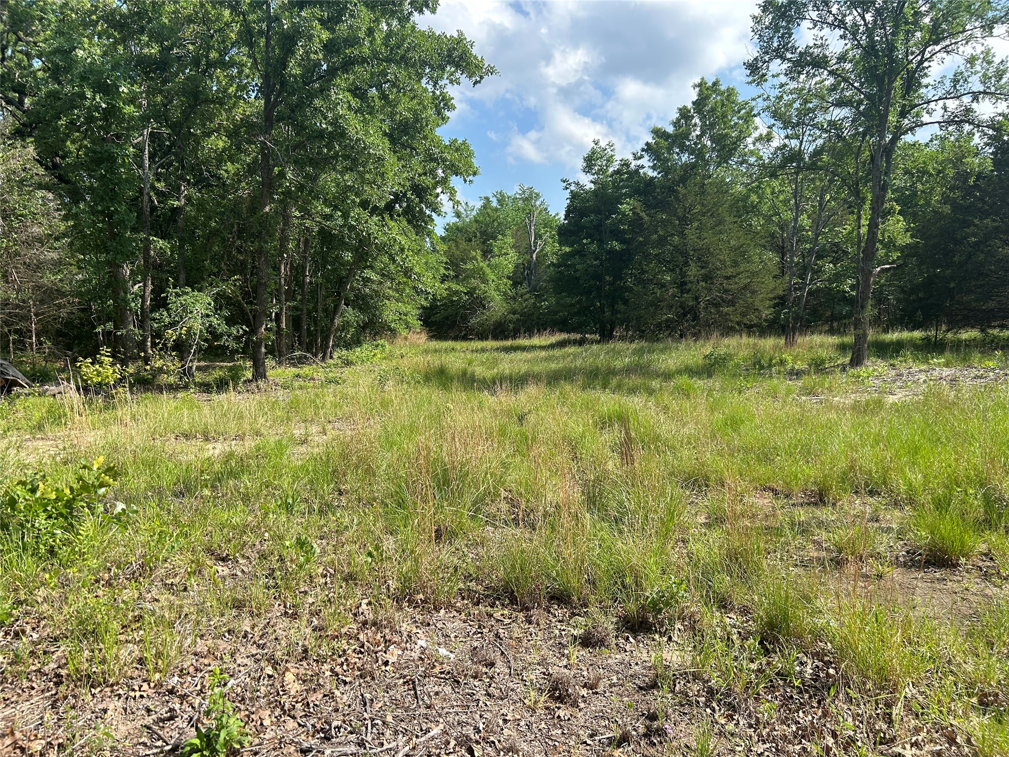 Lot 1 North Shore Road