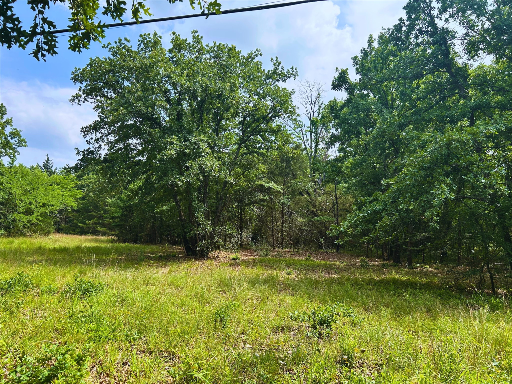 Lot 2 North Shore Road