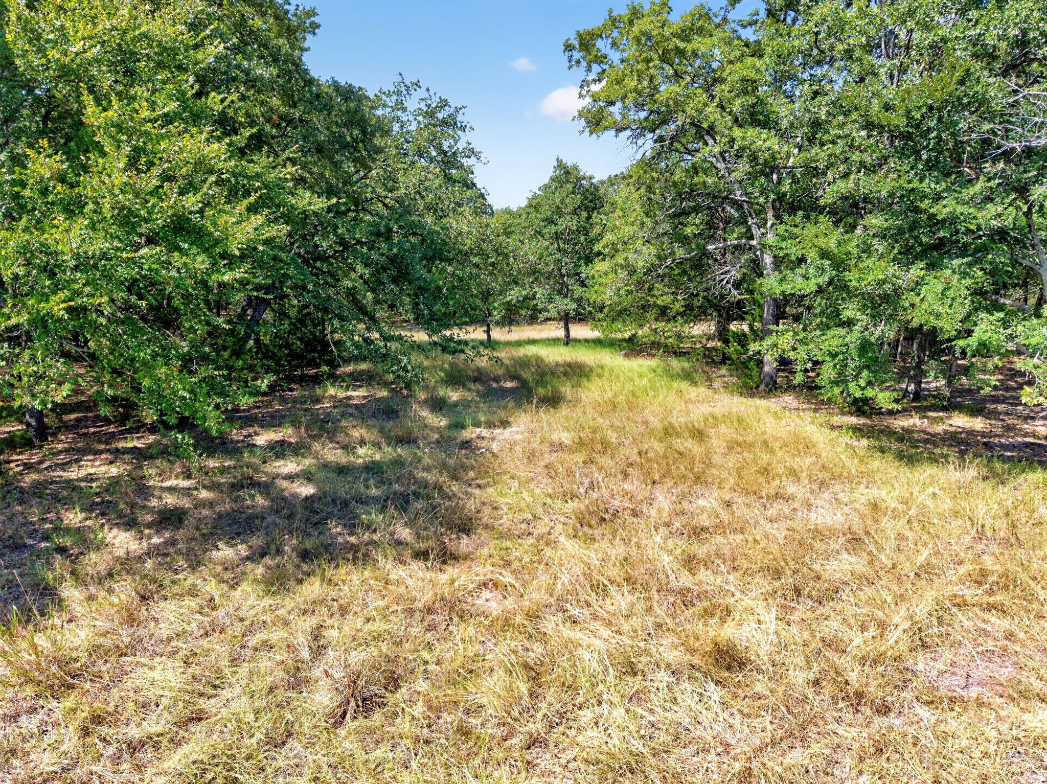 10148 Bluebonnet Drive
