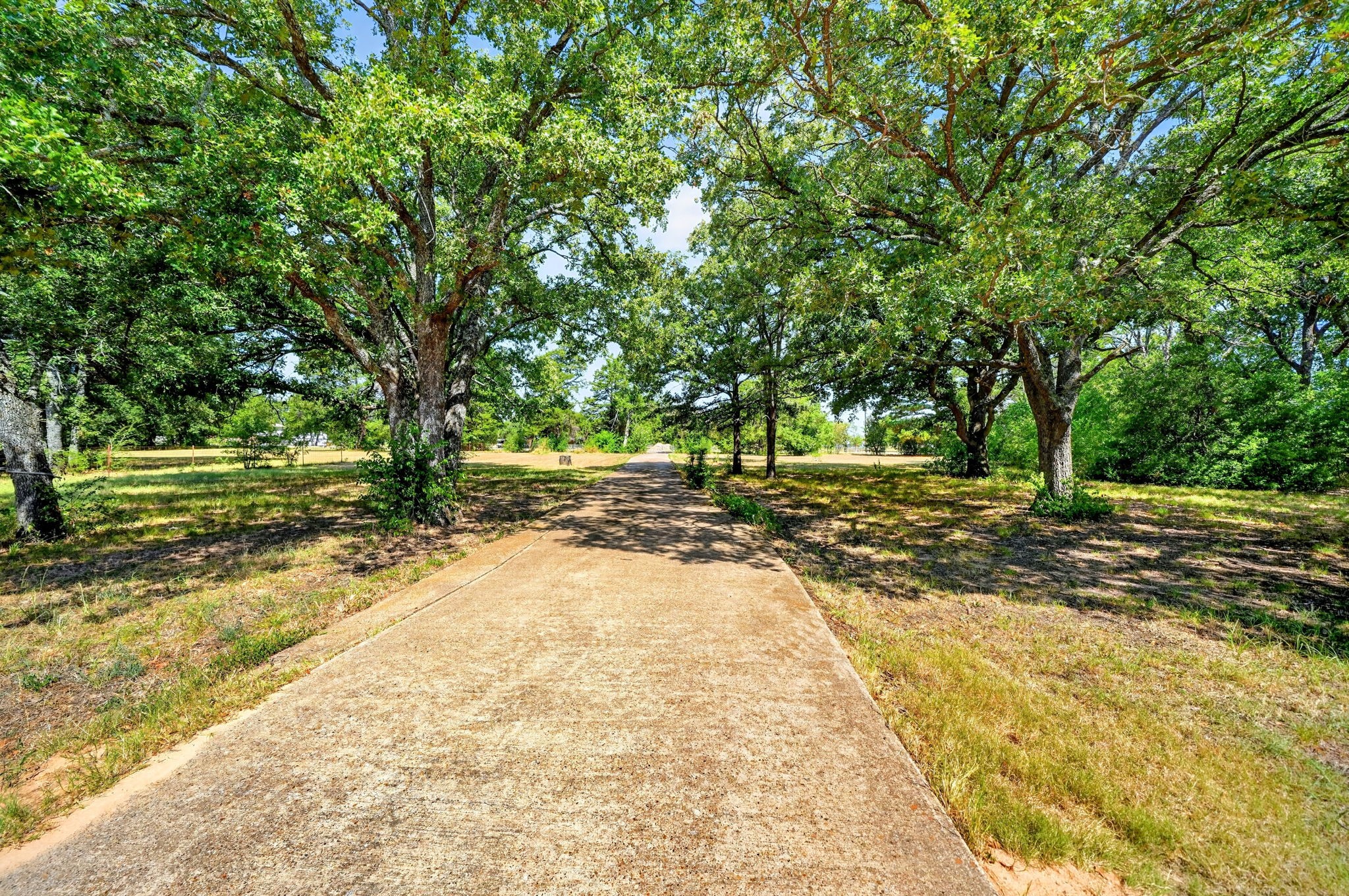 10148 Bluebonnet Drive