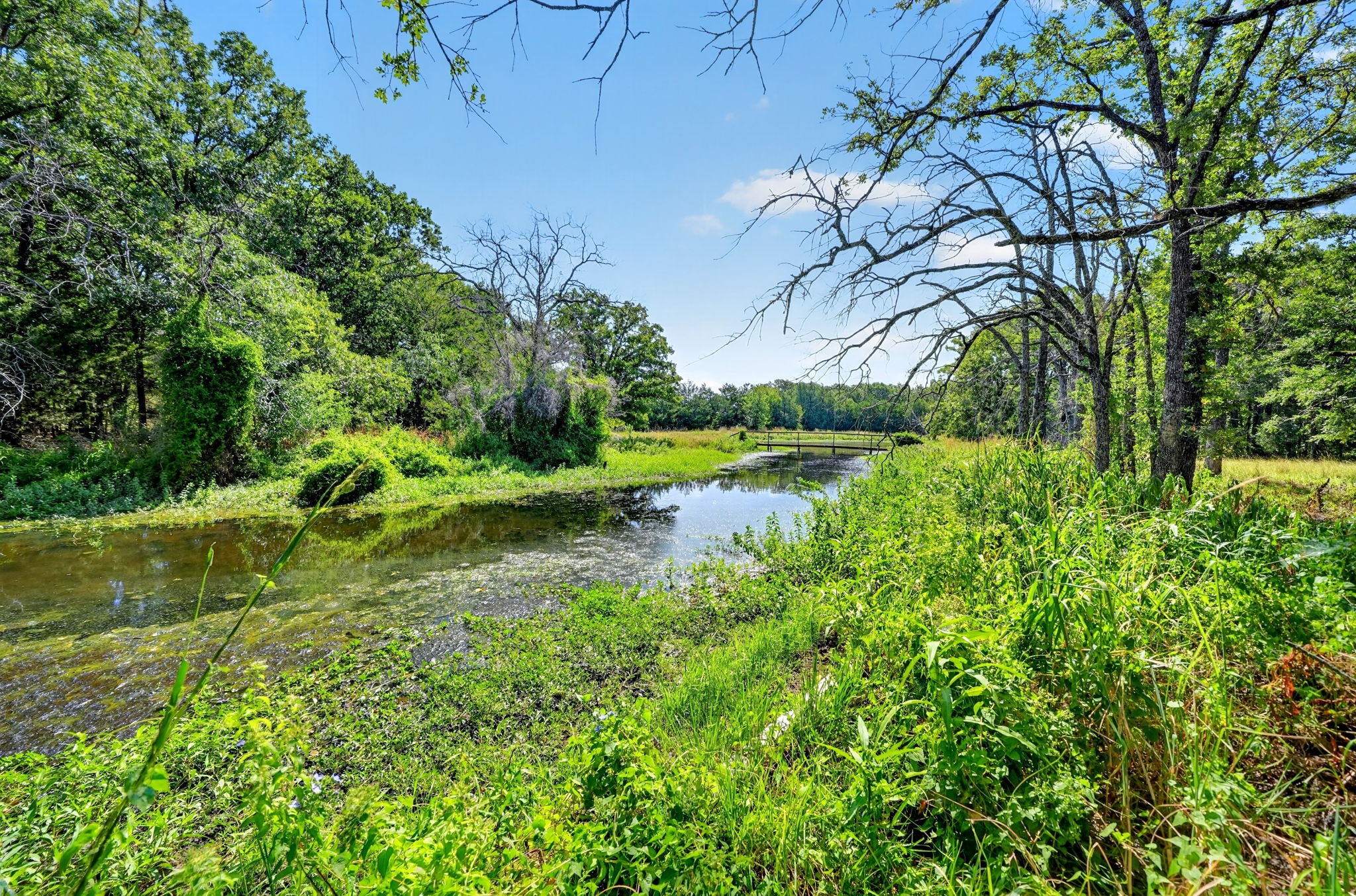 10148 Bluebonnet Drive