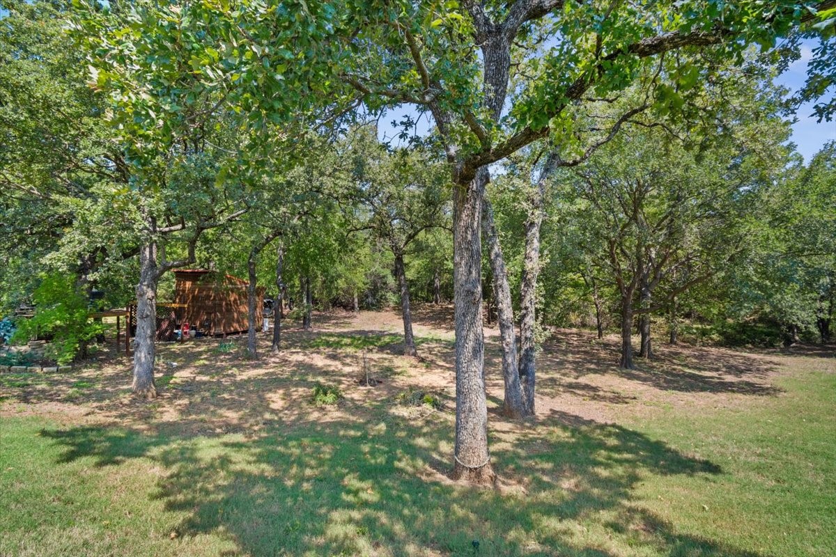 409 Springtree Road
