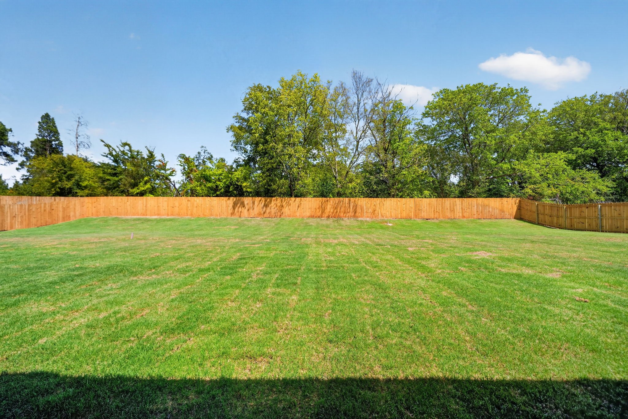 305 Grace Lane