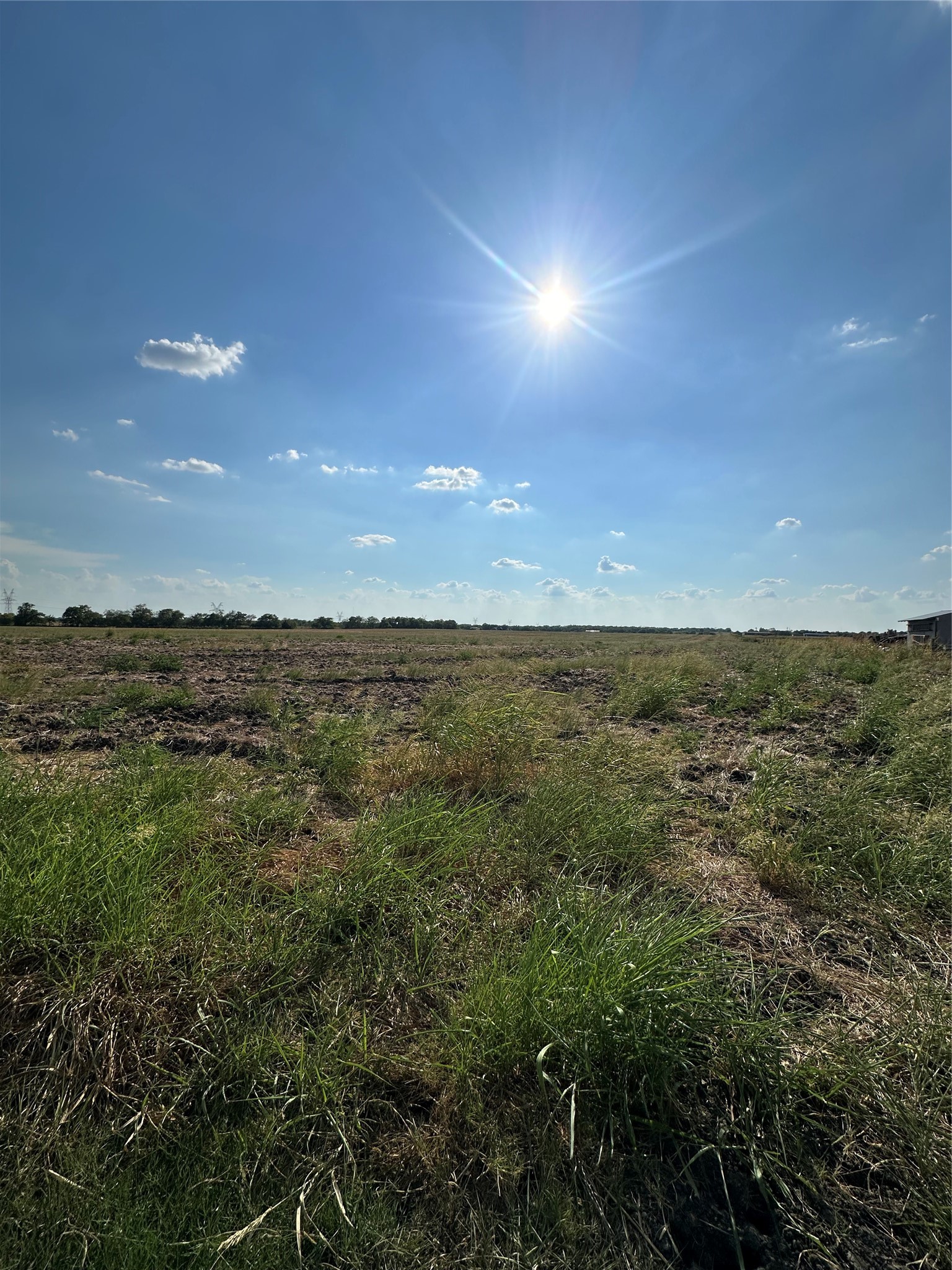 TBD County Road 4308