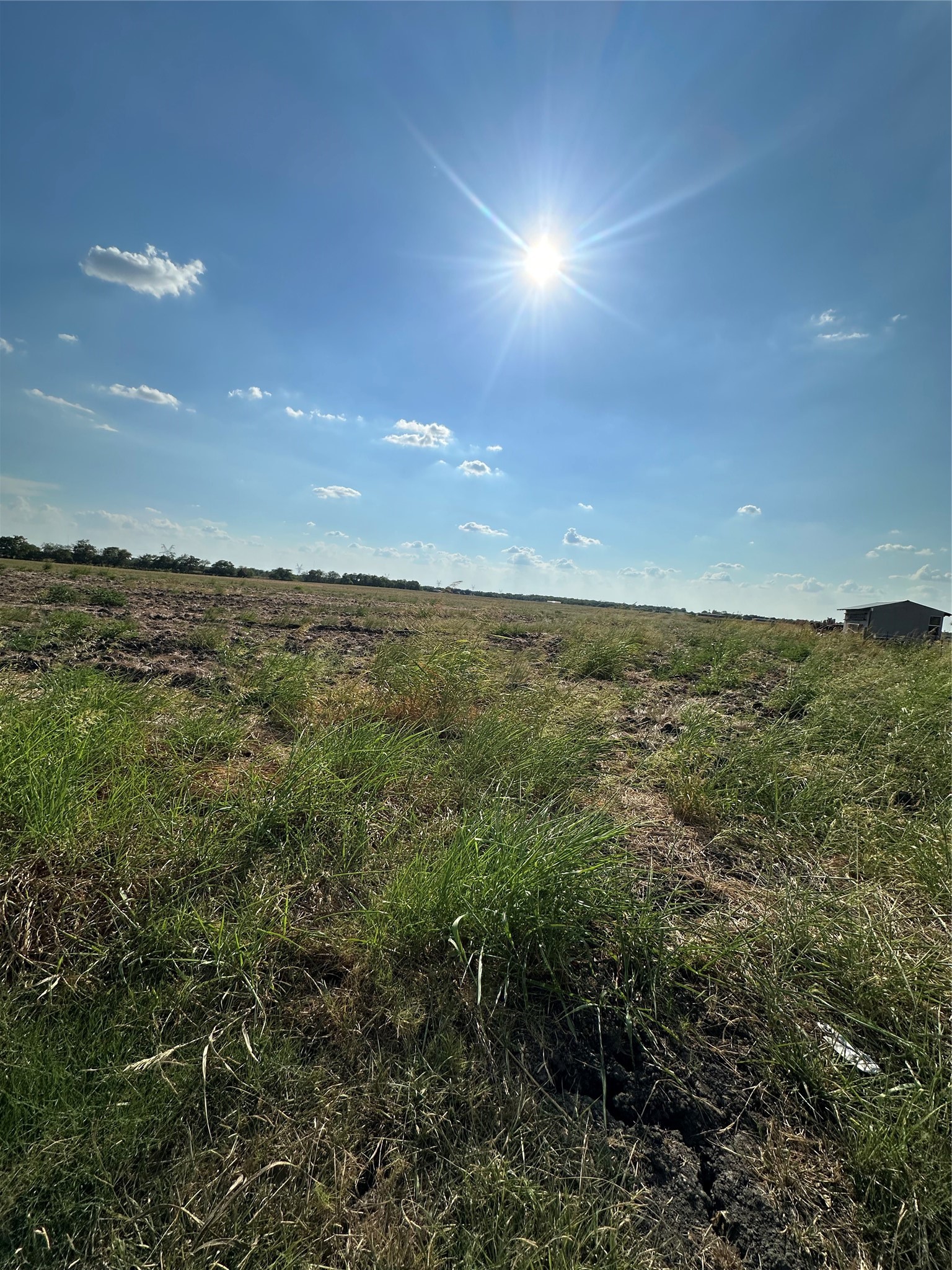 TBD County Road 4308