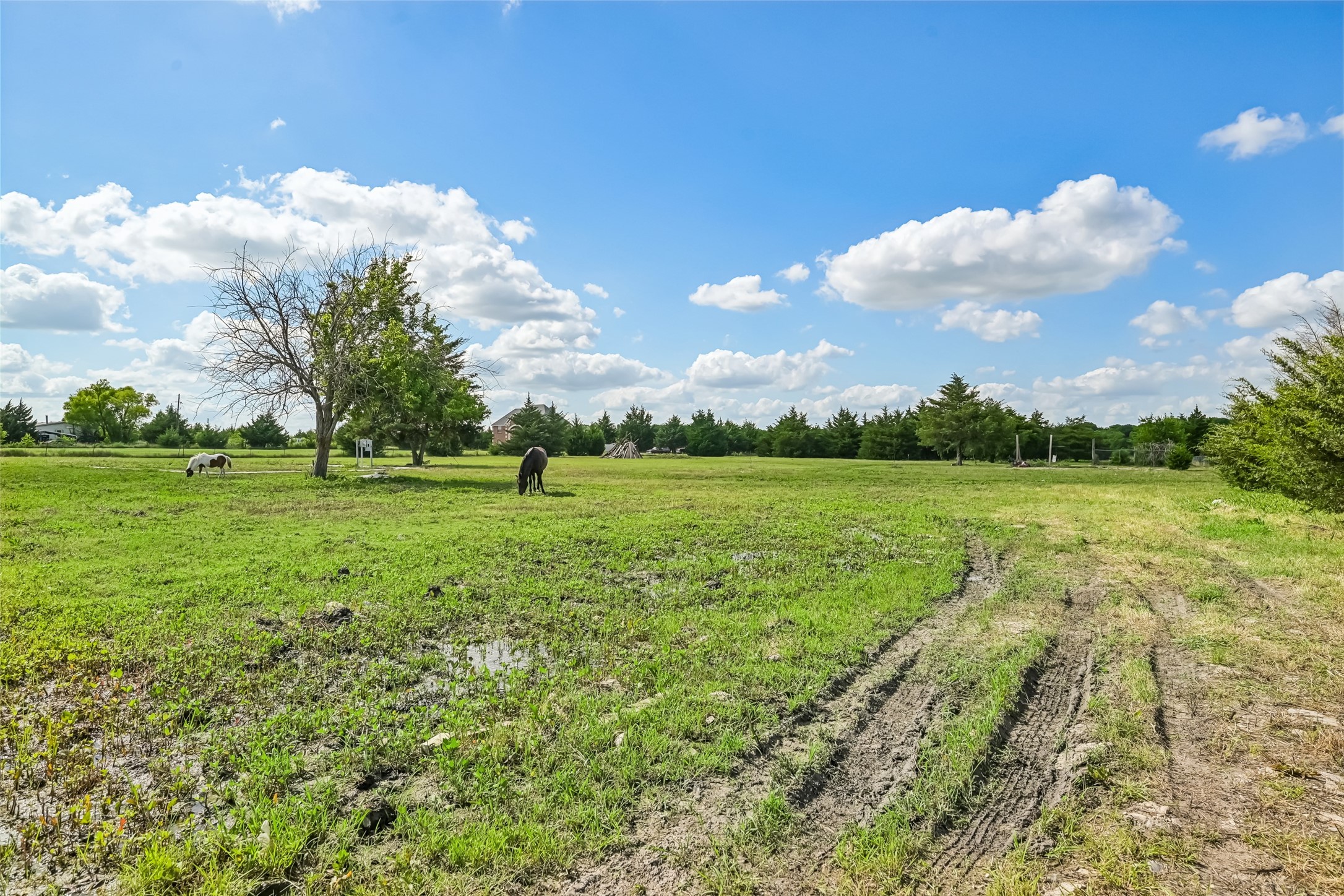 18875 County Road 656