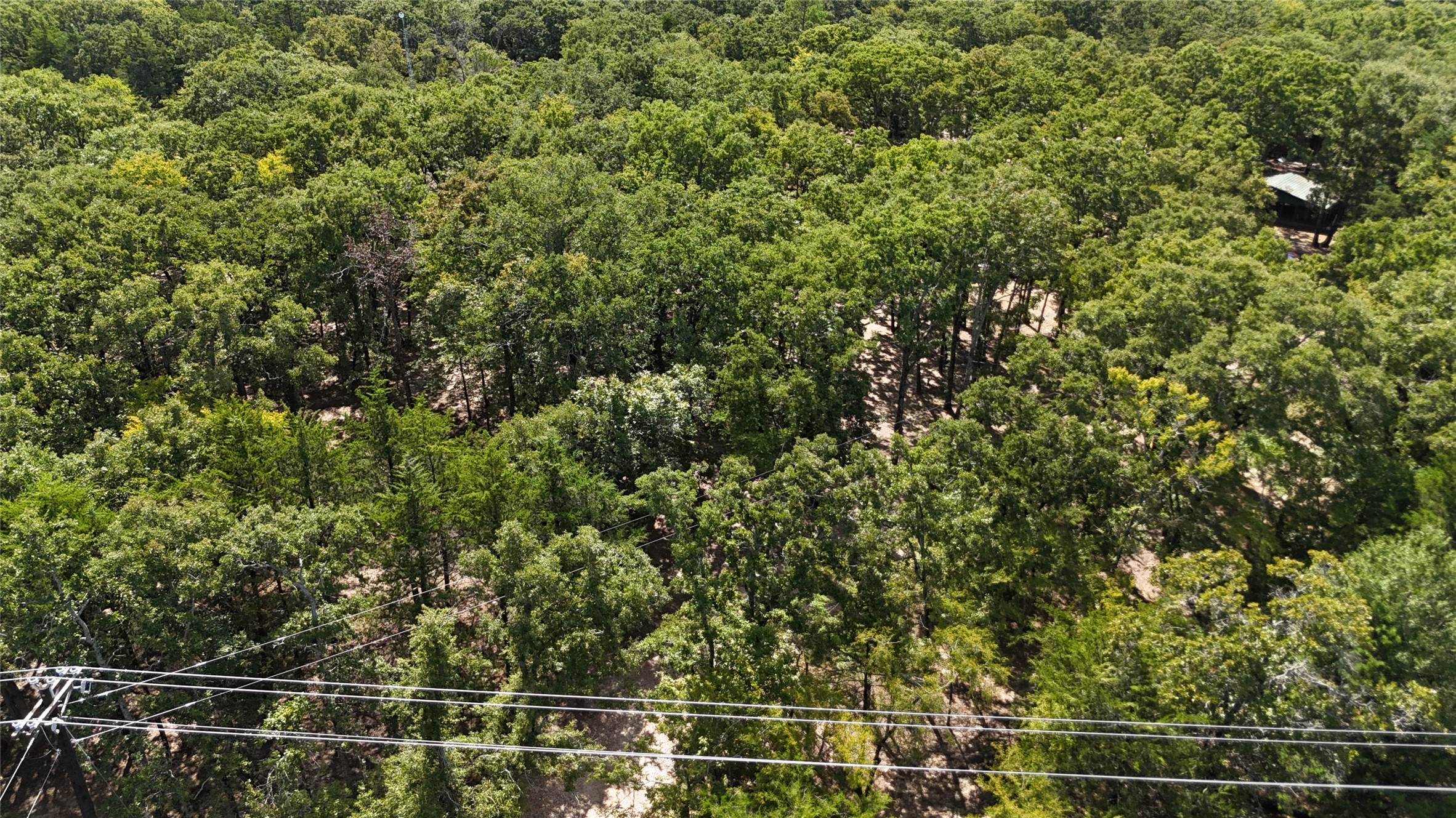 9972 County Road 2434