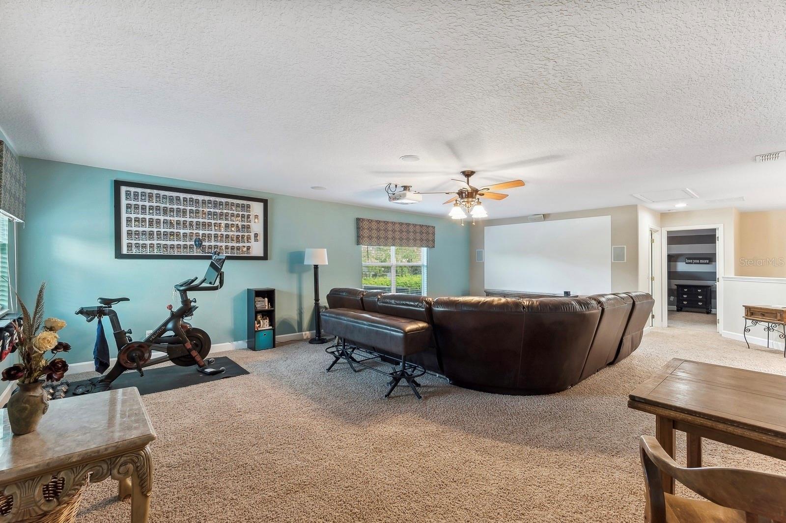 3520 RAMBLING OAKS LN