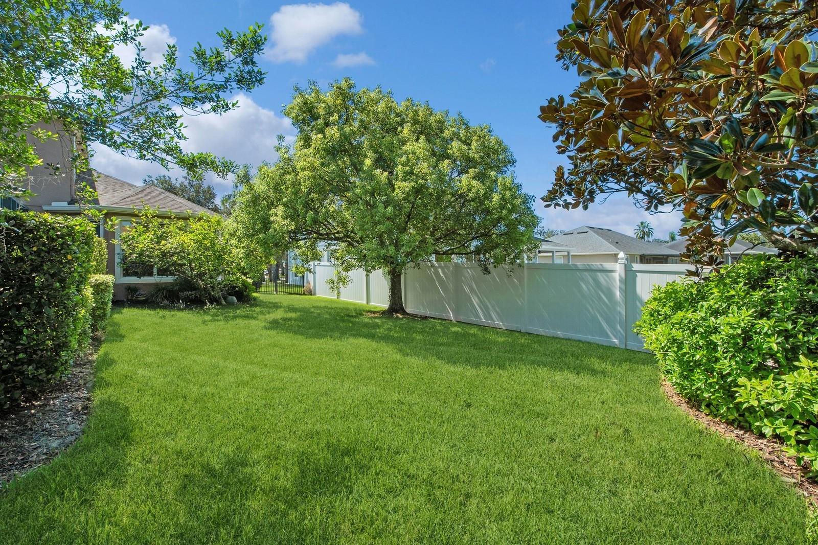 3520 RAMBLING OAKS LN