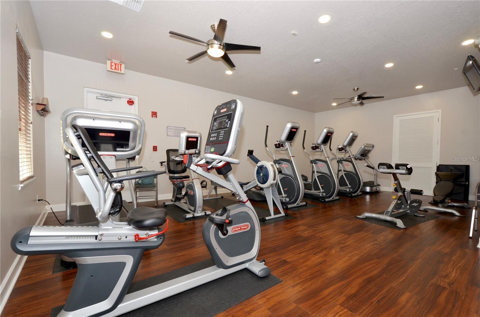 3520 RAMBLING OAKS LN