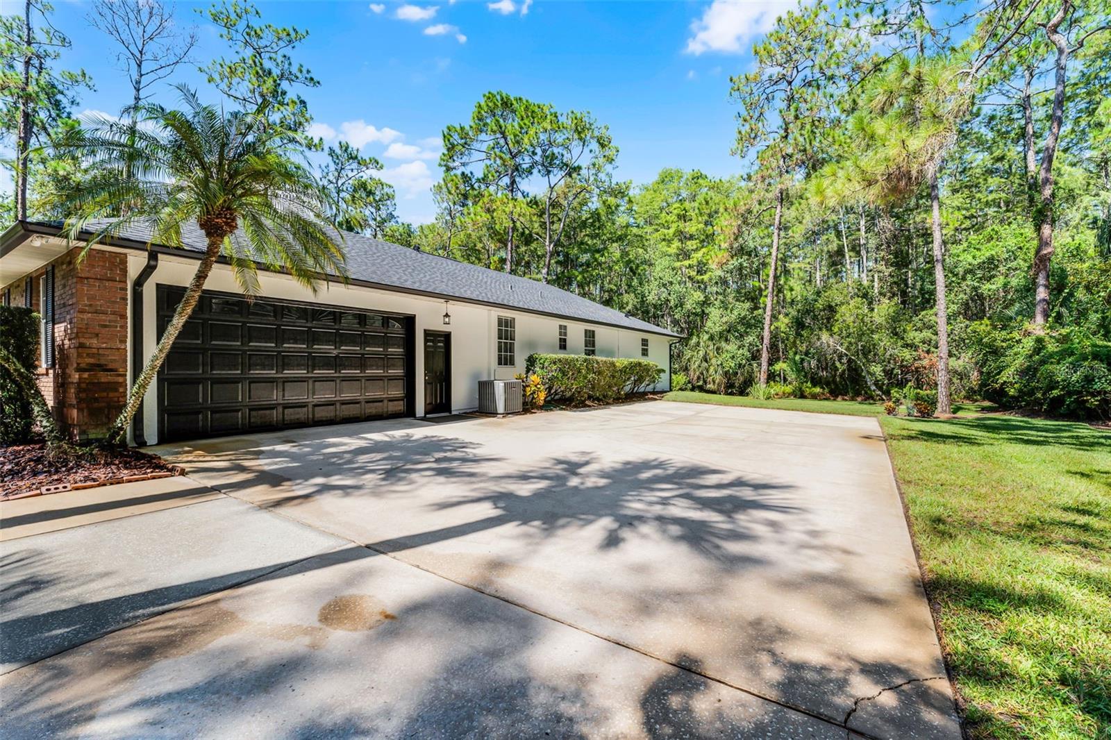 12041 GRAY BIRCH CIR