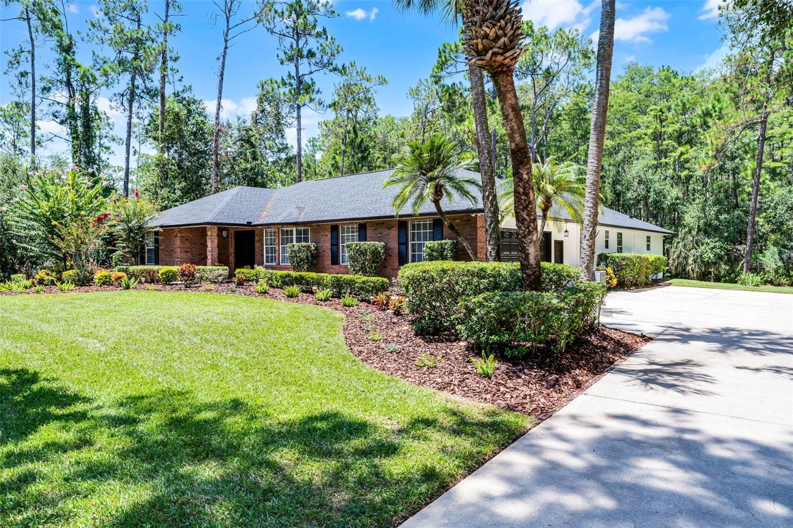 12041 GRAY BIRCH CIR