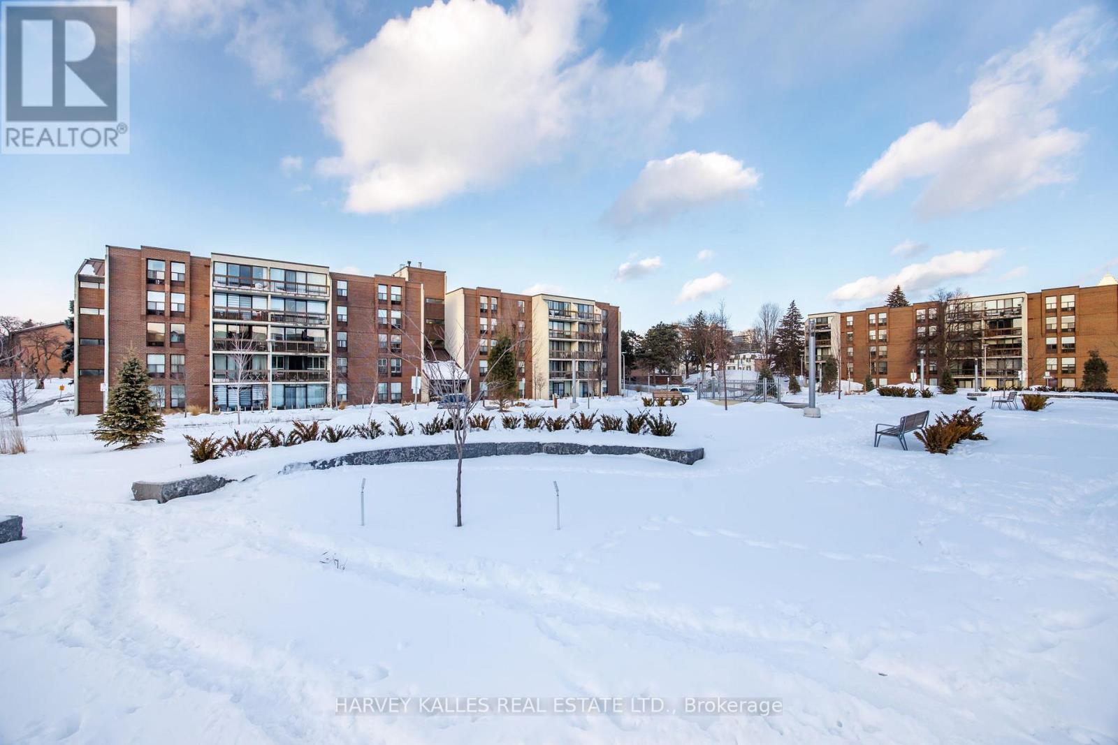 504 - 10 FASHION ROSEWAY