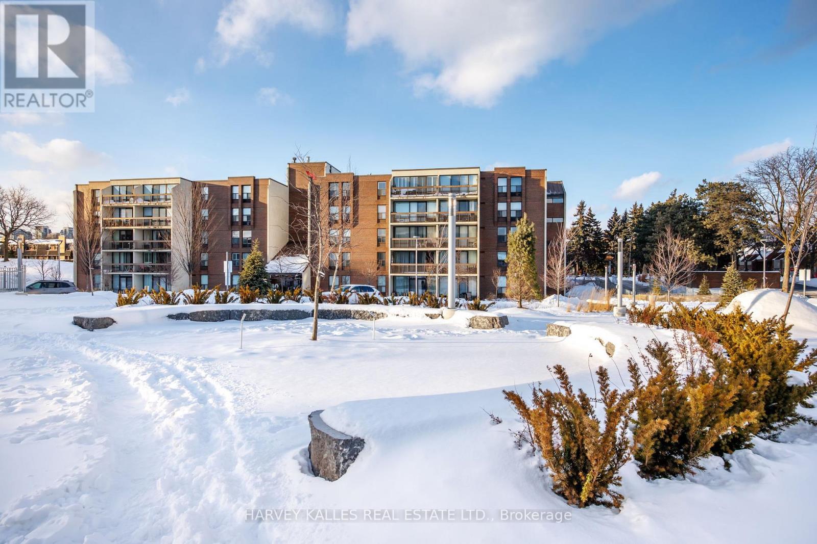 504 - 10 FASHION ROSEWAY