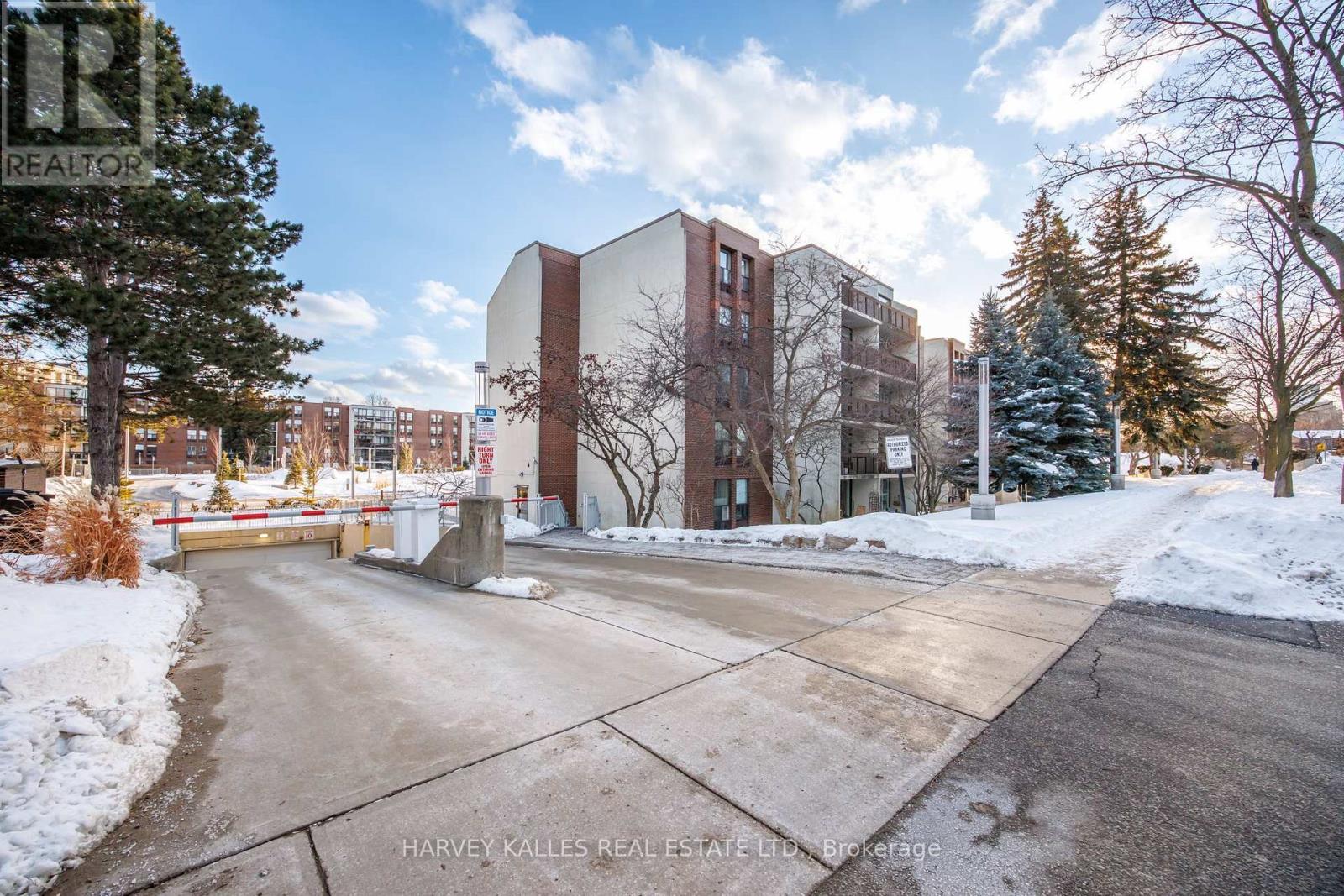 504 - 10 FASHION ROSEWAY