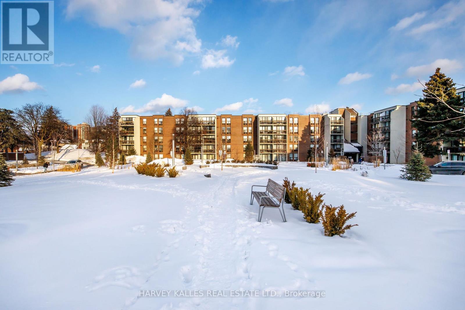 504 - 10 FASHION ROSEWAY