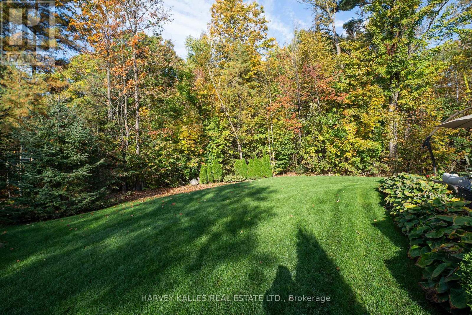 6 GEORGINA DRIVE