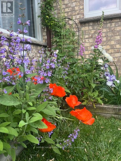 682 WILLOWBANK TRAIL