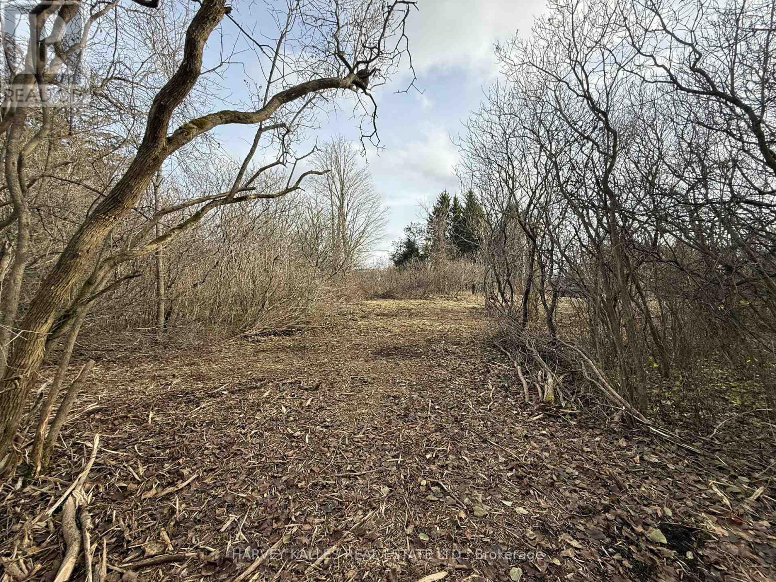 BESIDE 2885 COUNTY ROAD 10