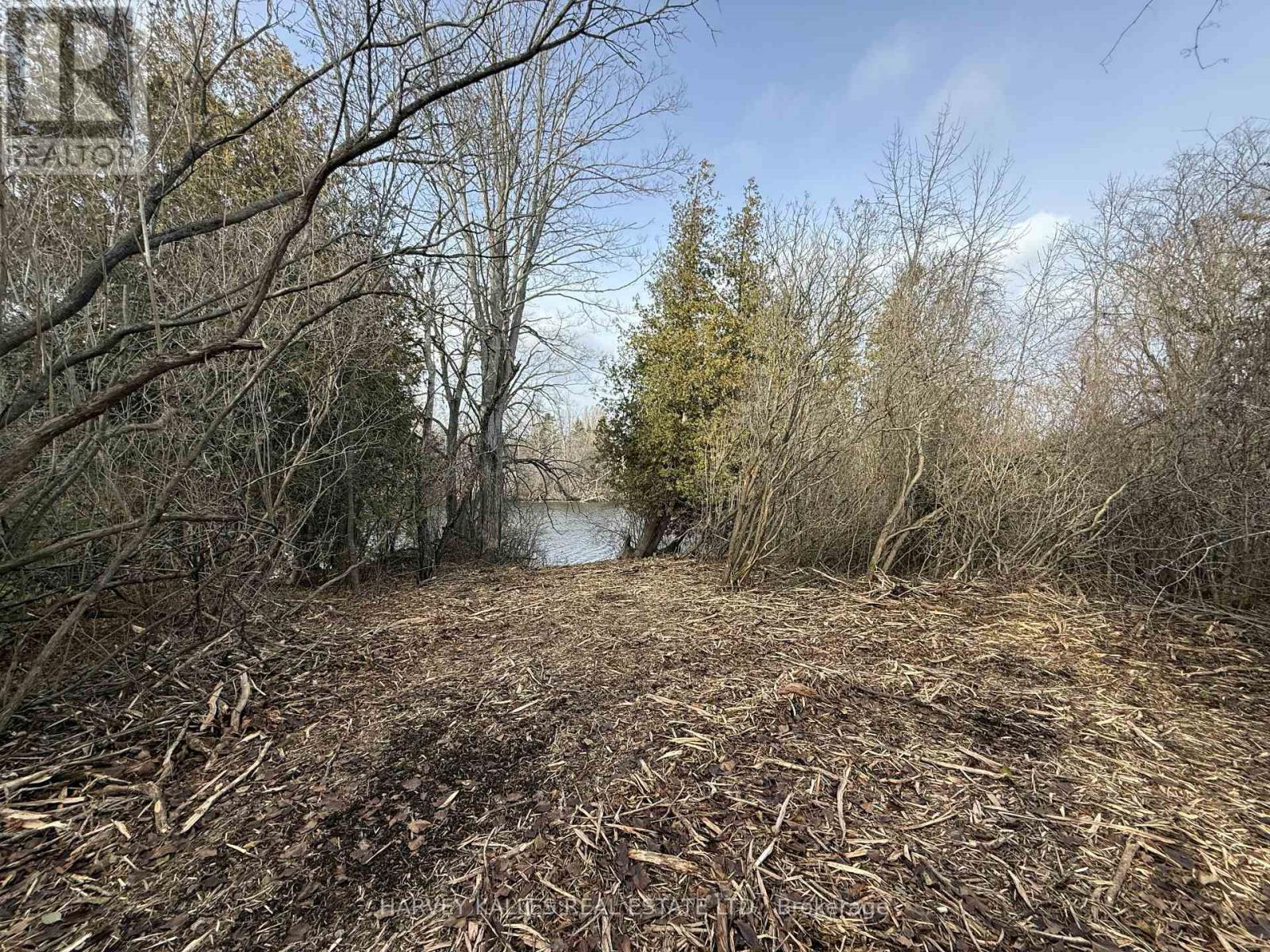 BESIDE 2885 COUNTY ROAD 10