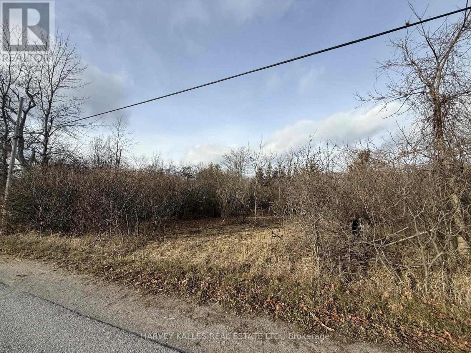 BESIDE 2885 COUNTY ROAD 10