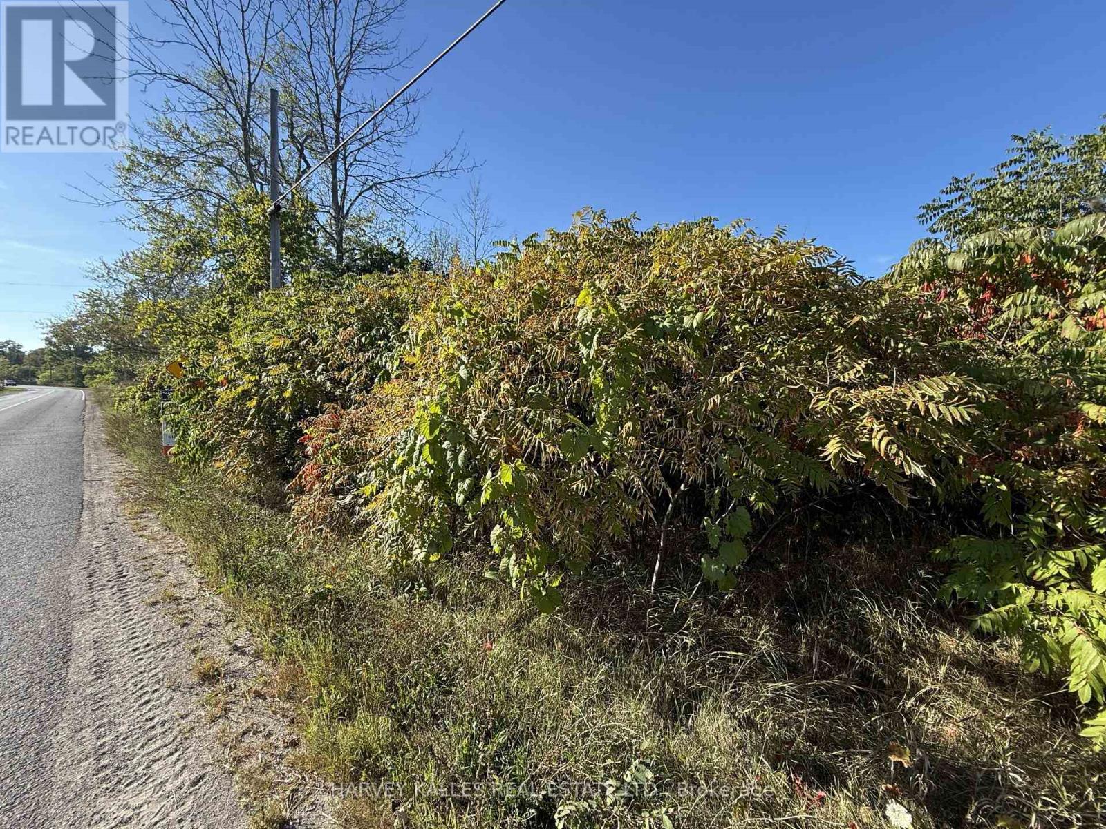 BESIDE 2885 COUNTY ROAD 10