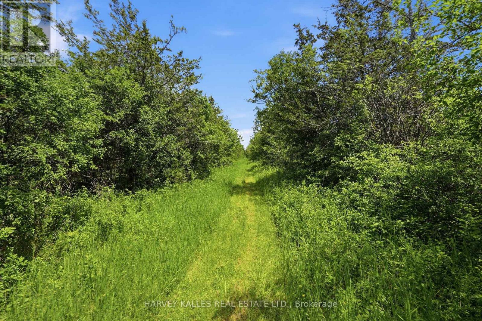 685 COUNTY 8 ROAD