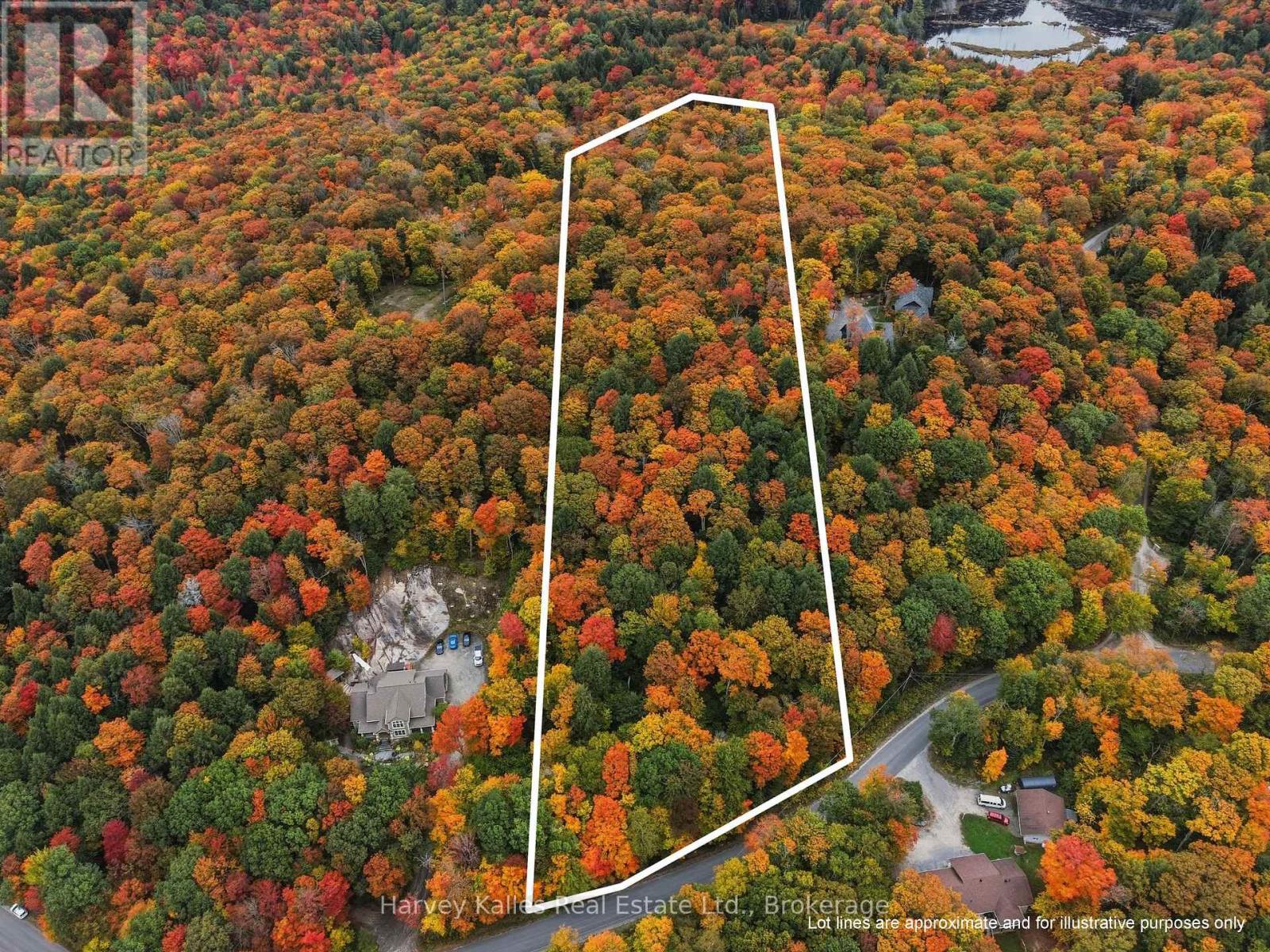 Aerial view of a wooded autumn property outlined in white beside a road and nearby homes.