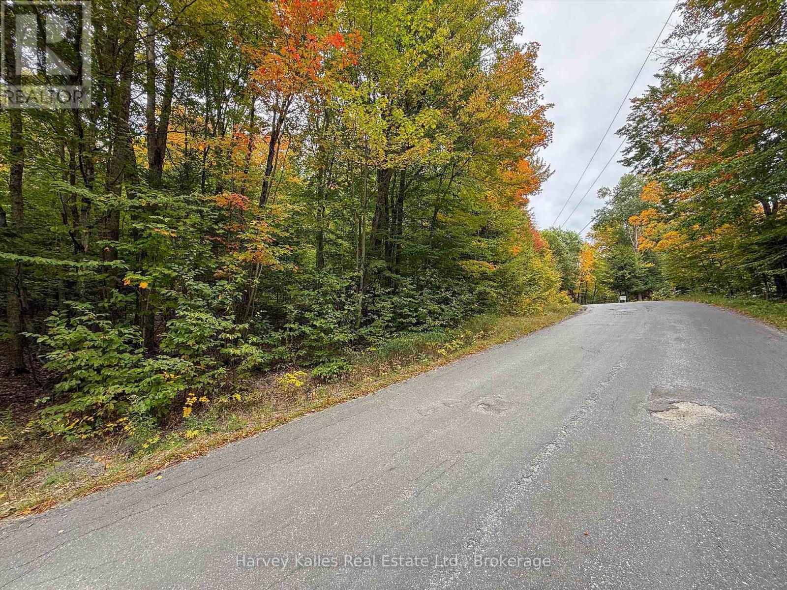 481 GRYFFIN LODGE ROAD
