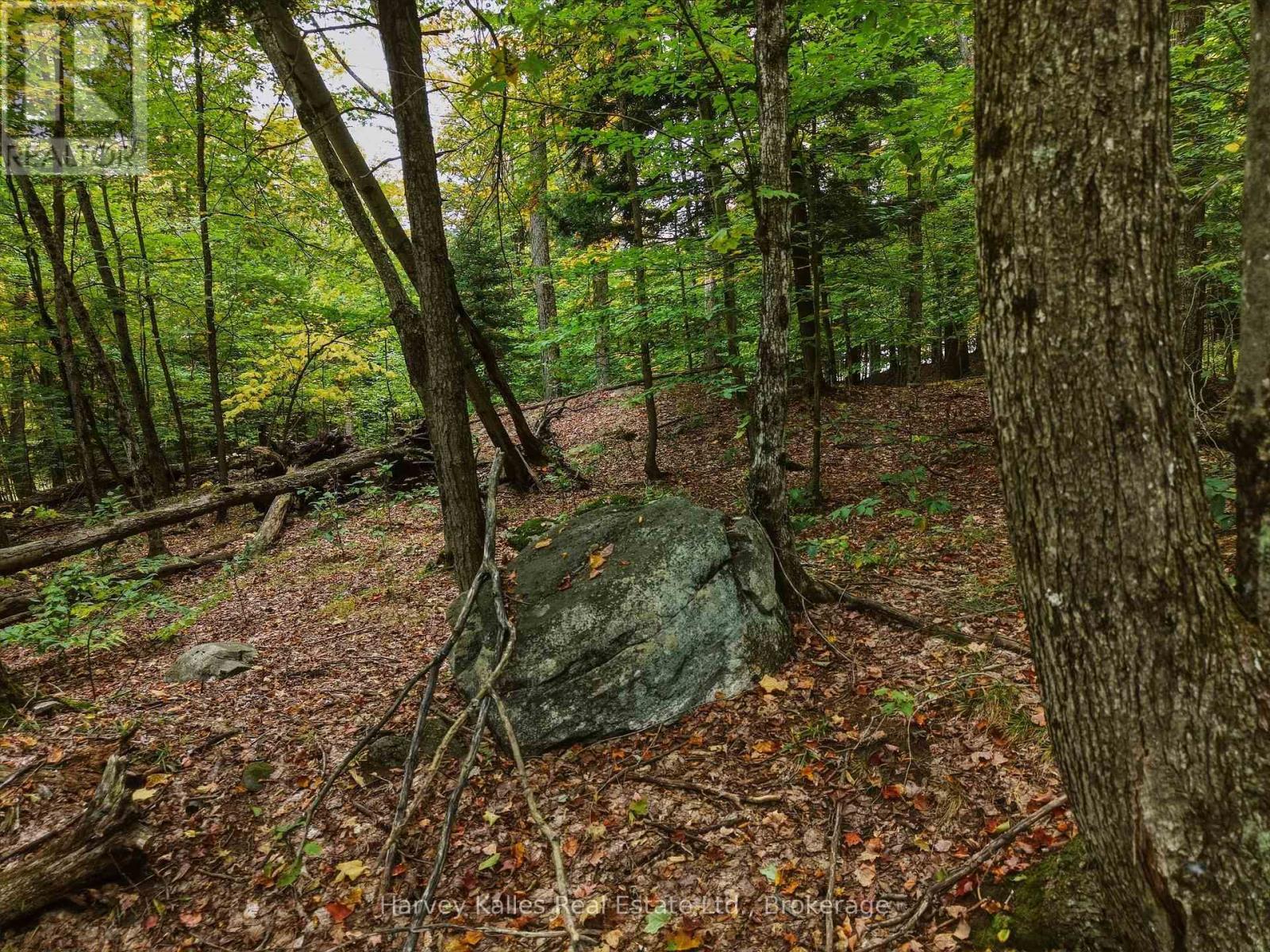 481 GRYFFIN LODGE ROAD