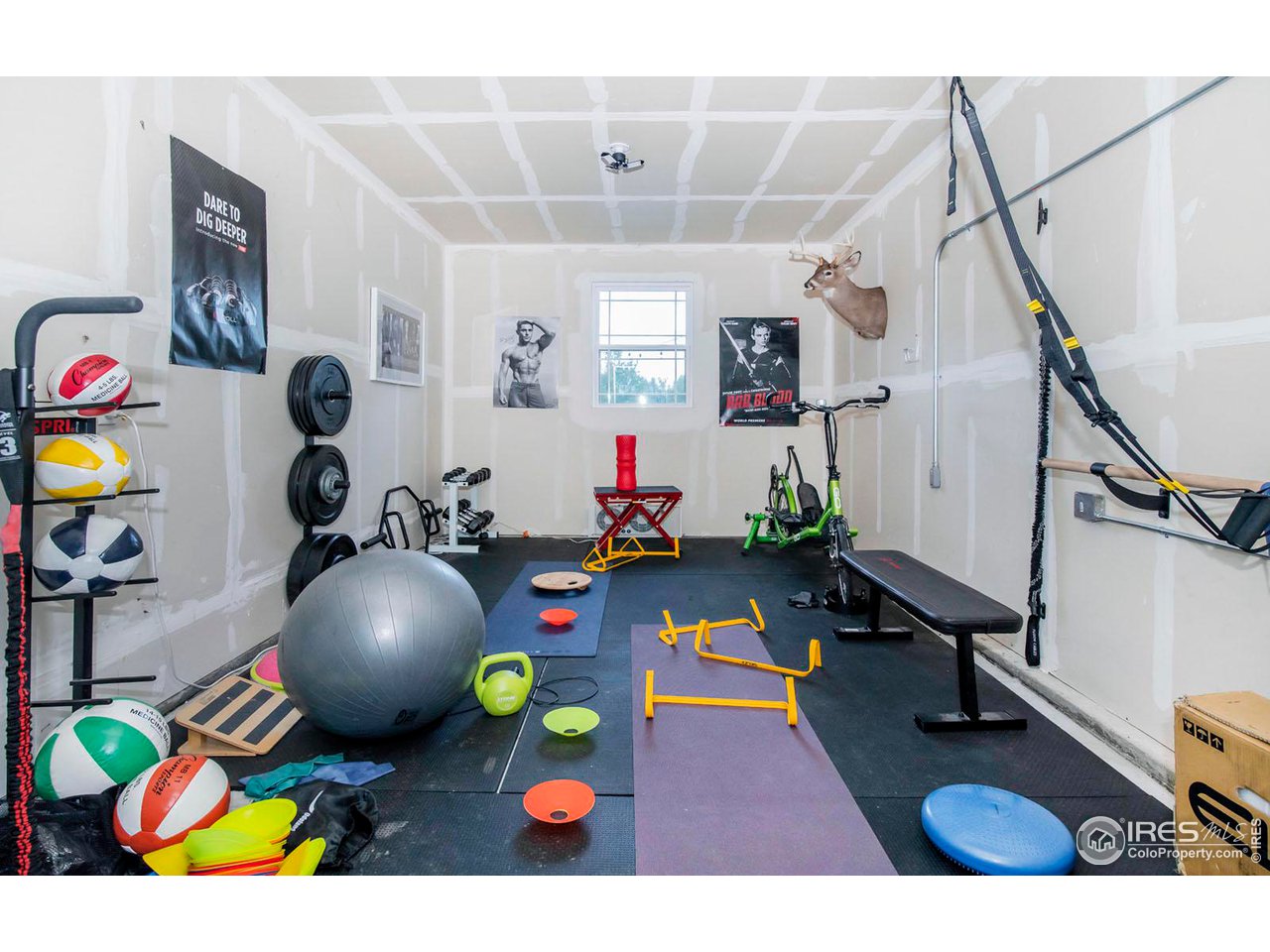 899 Old Wagon Trail Cir