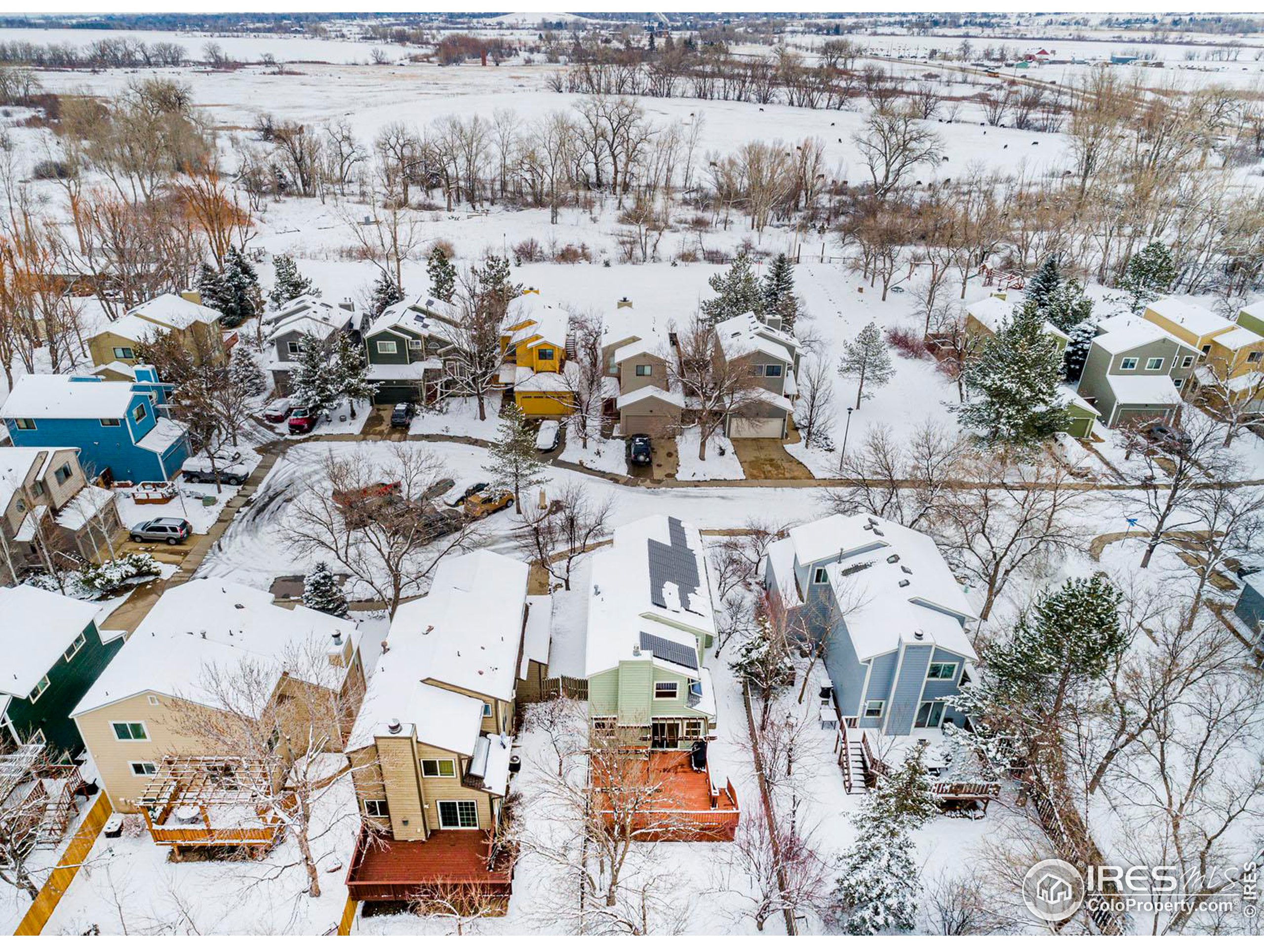 107 Mineola Ct