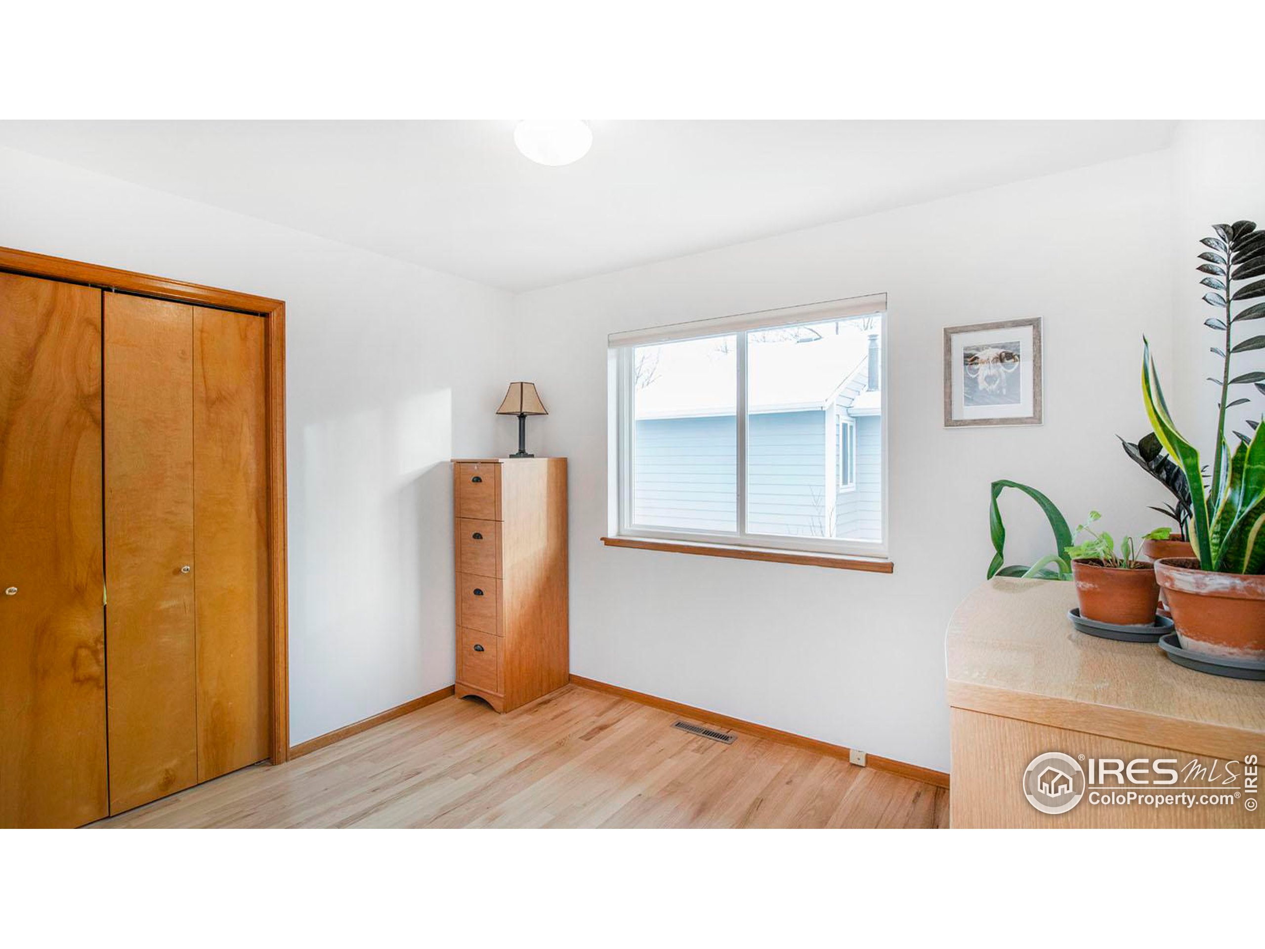 107 Mineola Ct