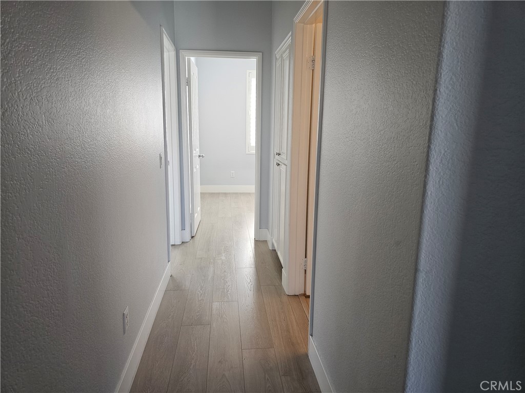 1238 Olson Drive