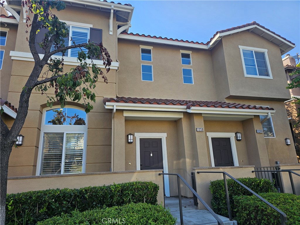 1238 Olson Drive