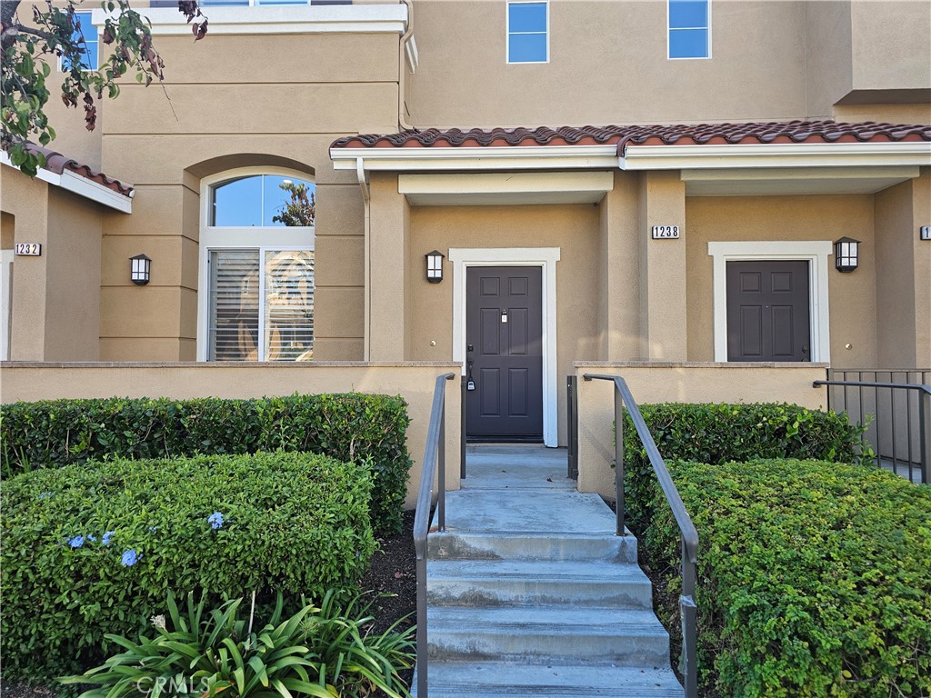 1238 Olson Drive