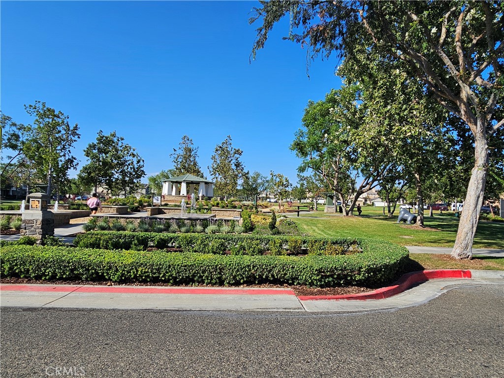 1238 Olson Drive