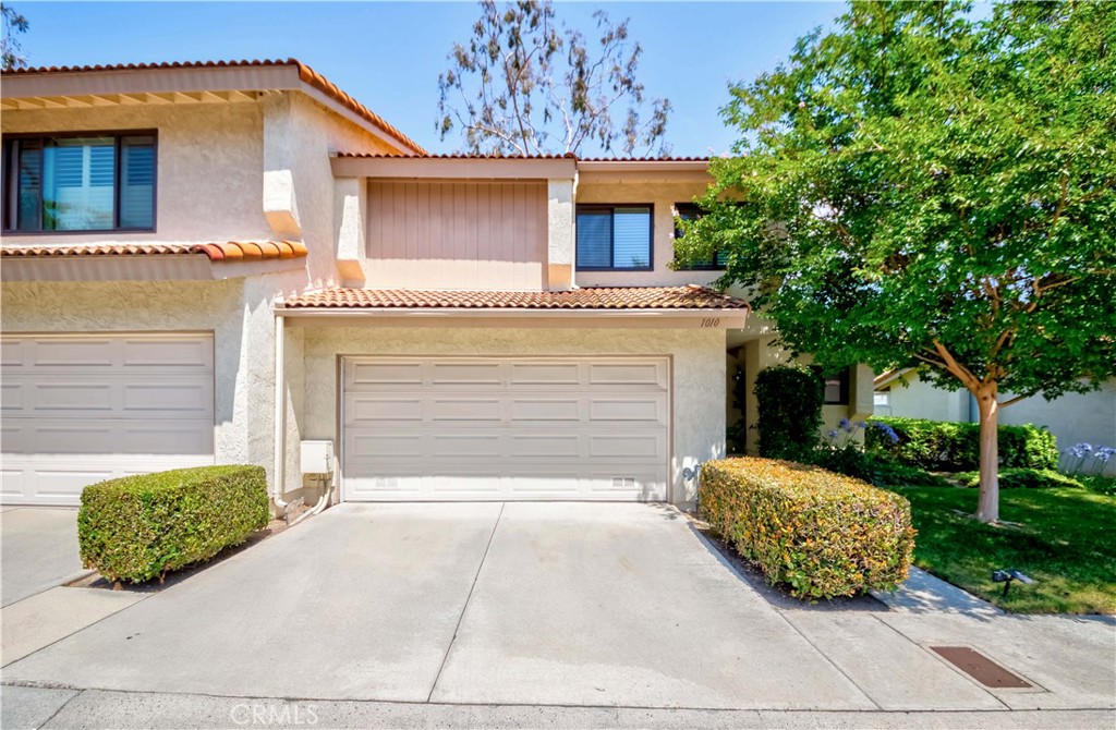 1010 Whitewater Drive