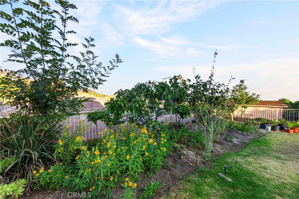 3797 Jeffers Road