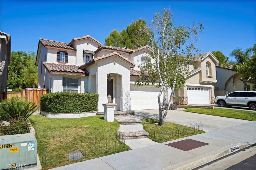 28445 Silverking Trail