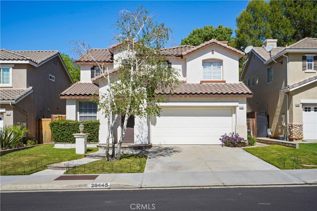 28445 Silverking Trail