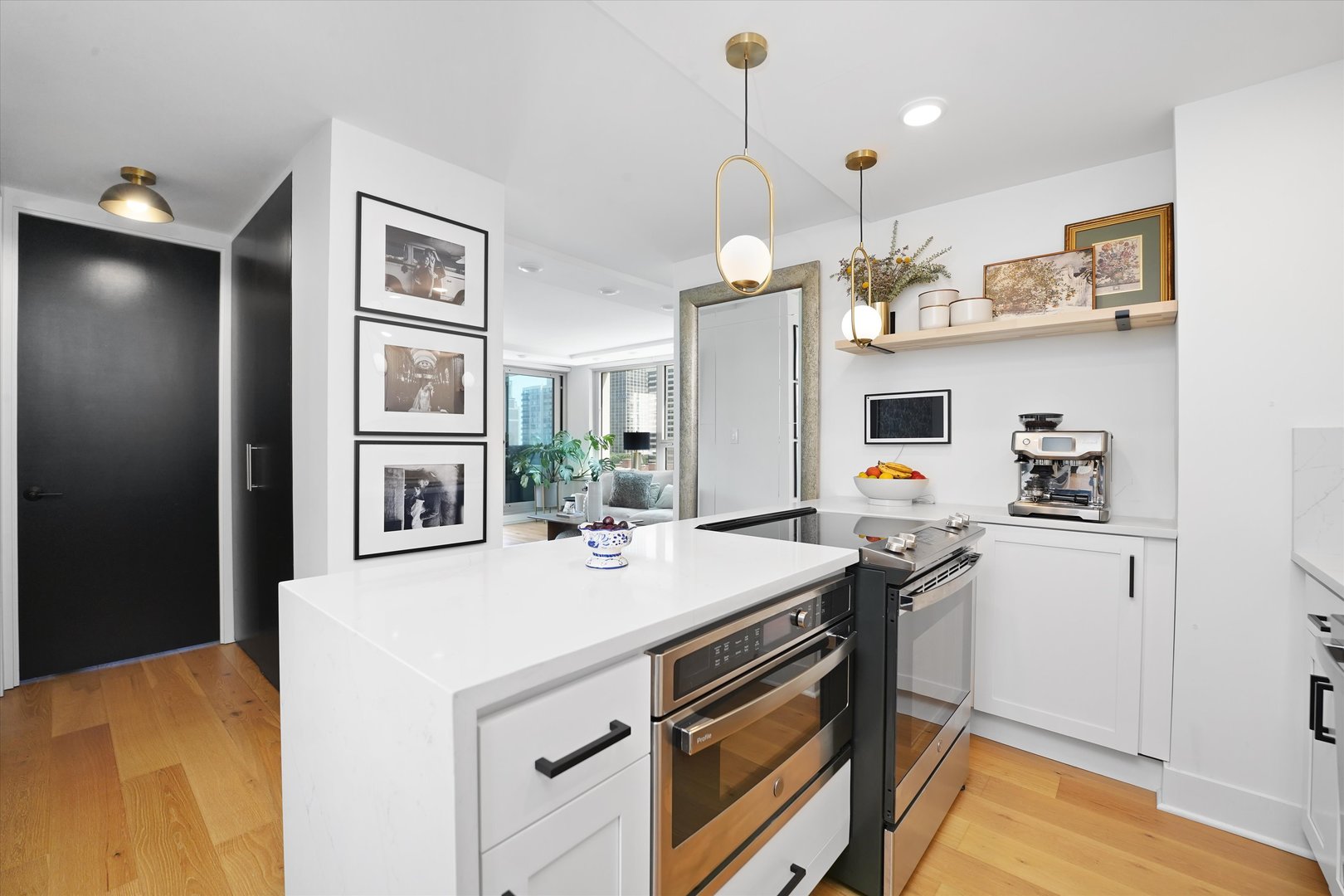 88 W Schiller Street Unit: 1001L